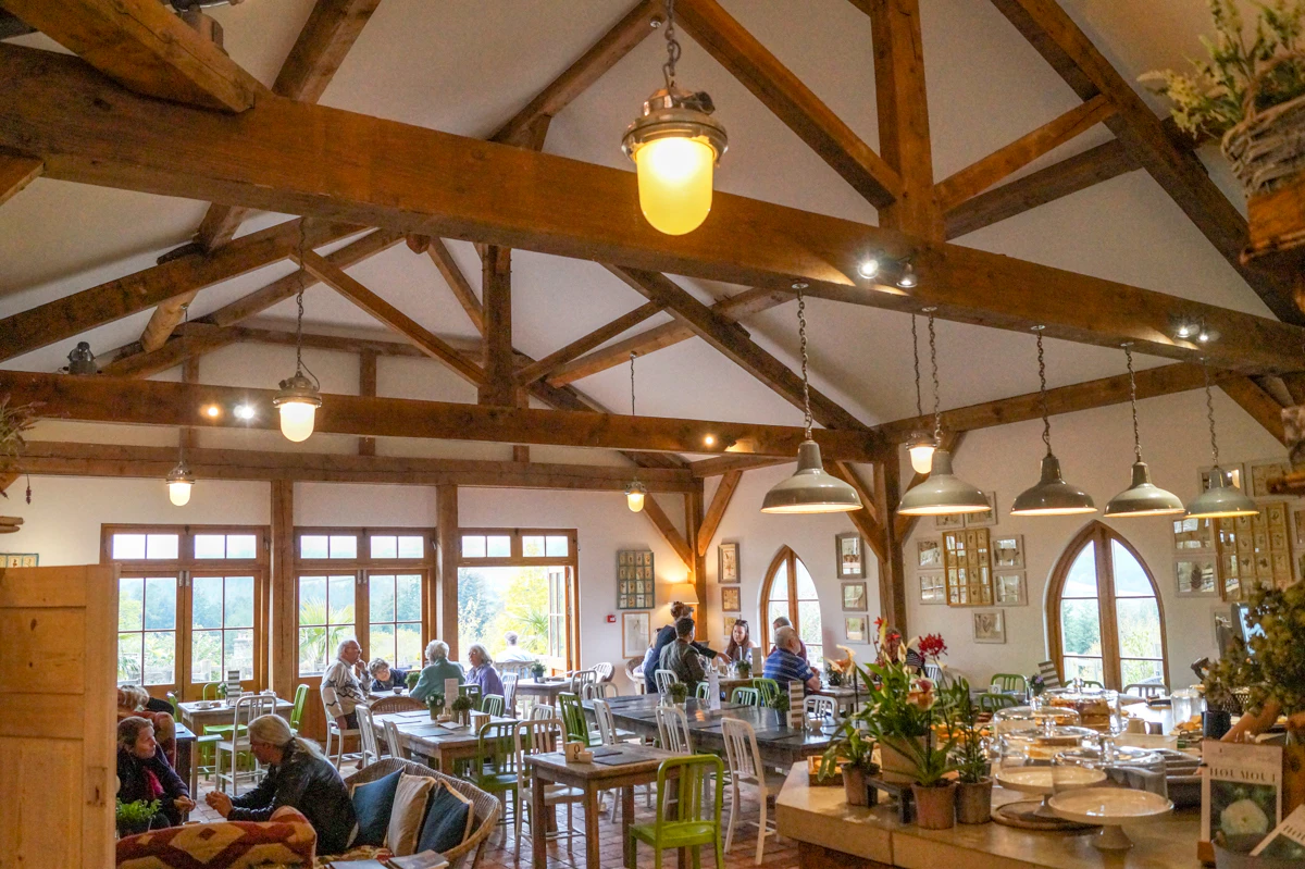 The interior of an oak frame tea room at the Ducky of Cornwall garden nurseries