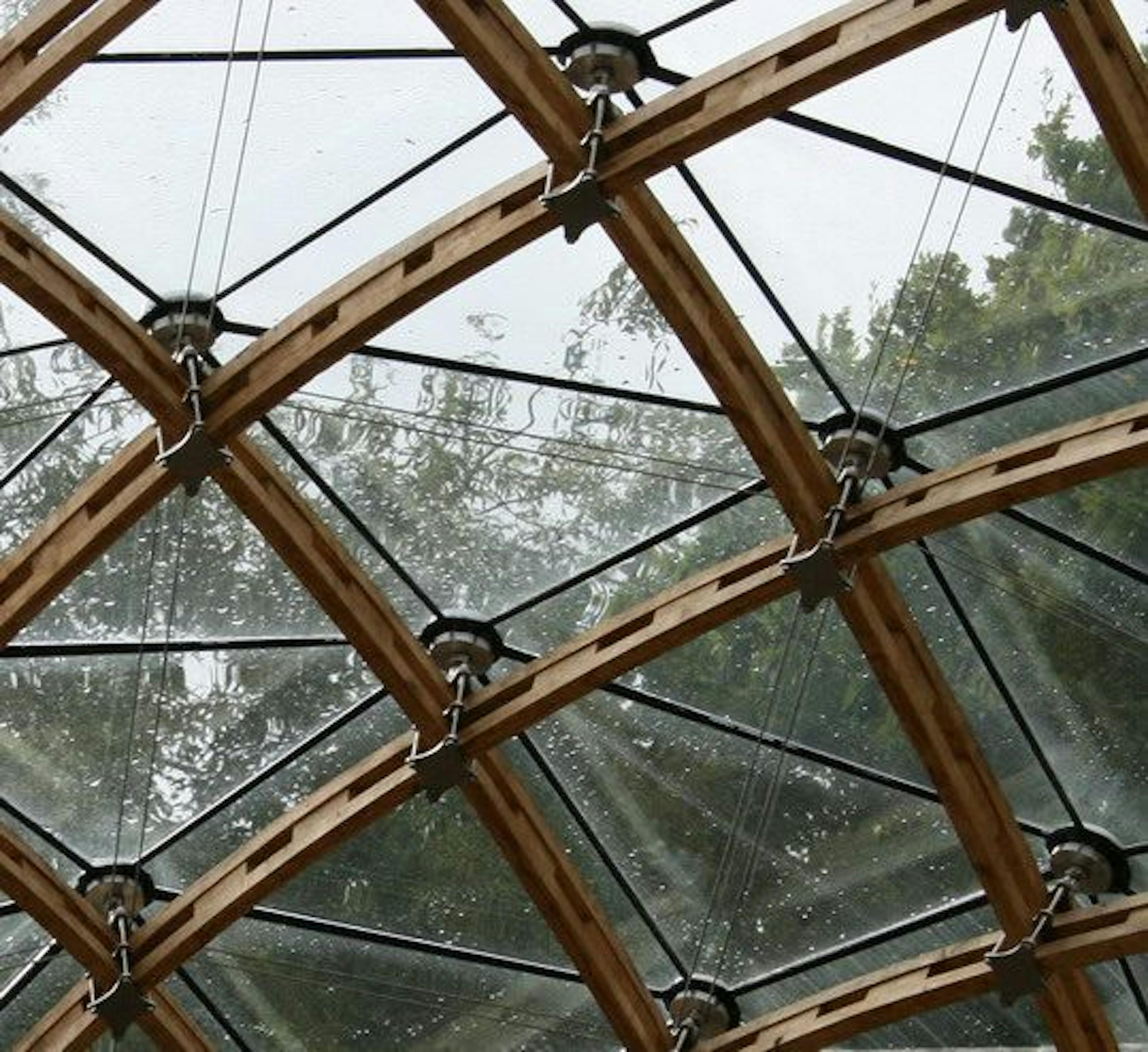 A detailed shot of the complex installation of a glazed timber frame gridshell roof for a historic orangery in Kent