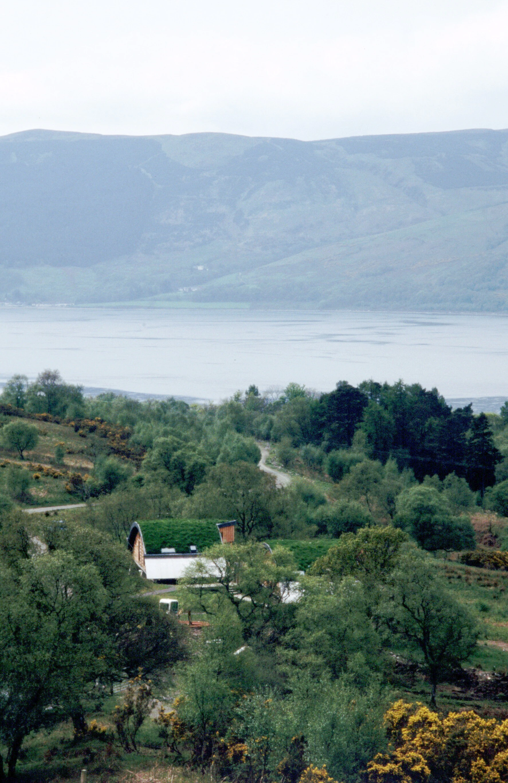 Green oak and Douglas fir clad cabins with a turfed curved roof in the distance