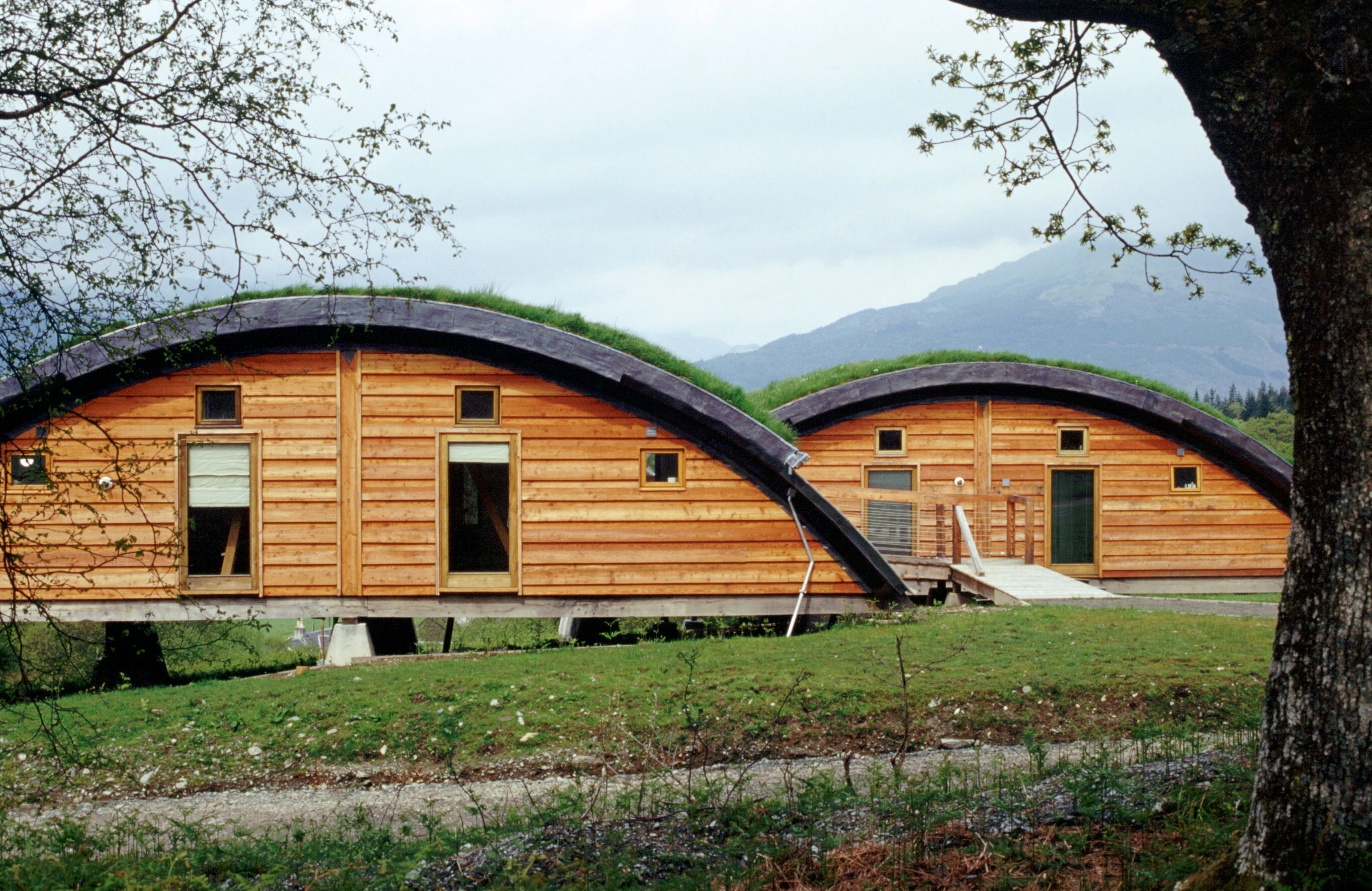 Green oak and Douglas fir clad cabins with a turfed curved roof
