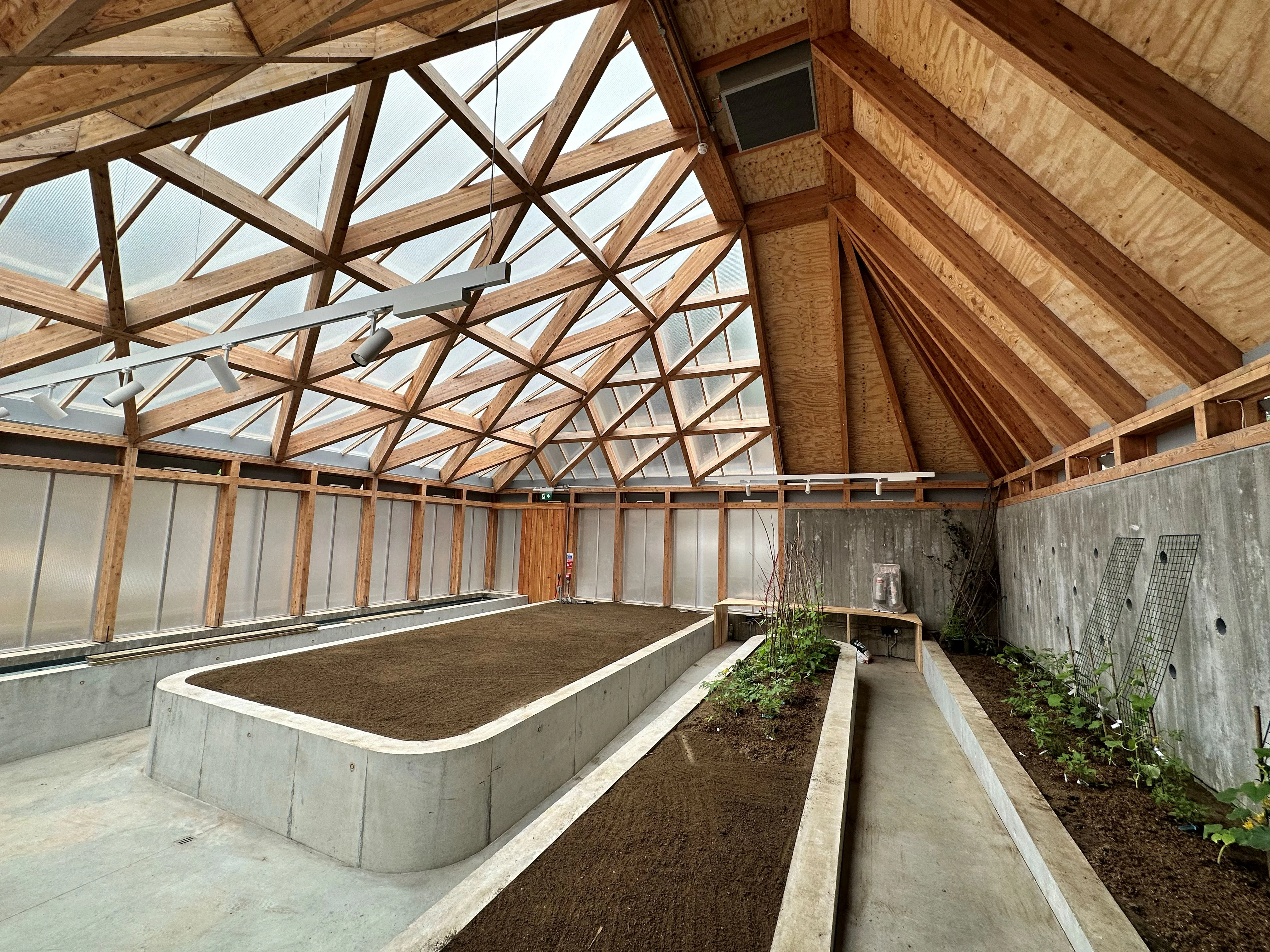 A larch glulam frame of a pyramidic green house building