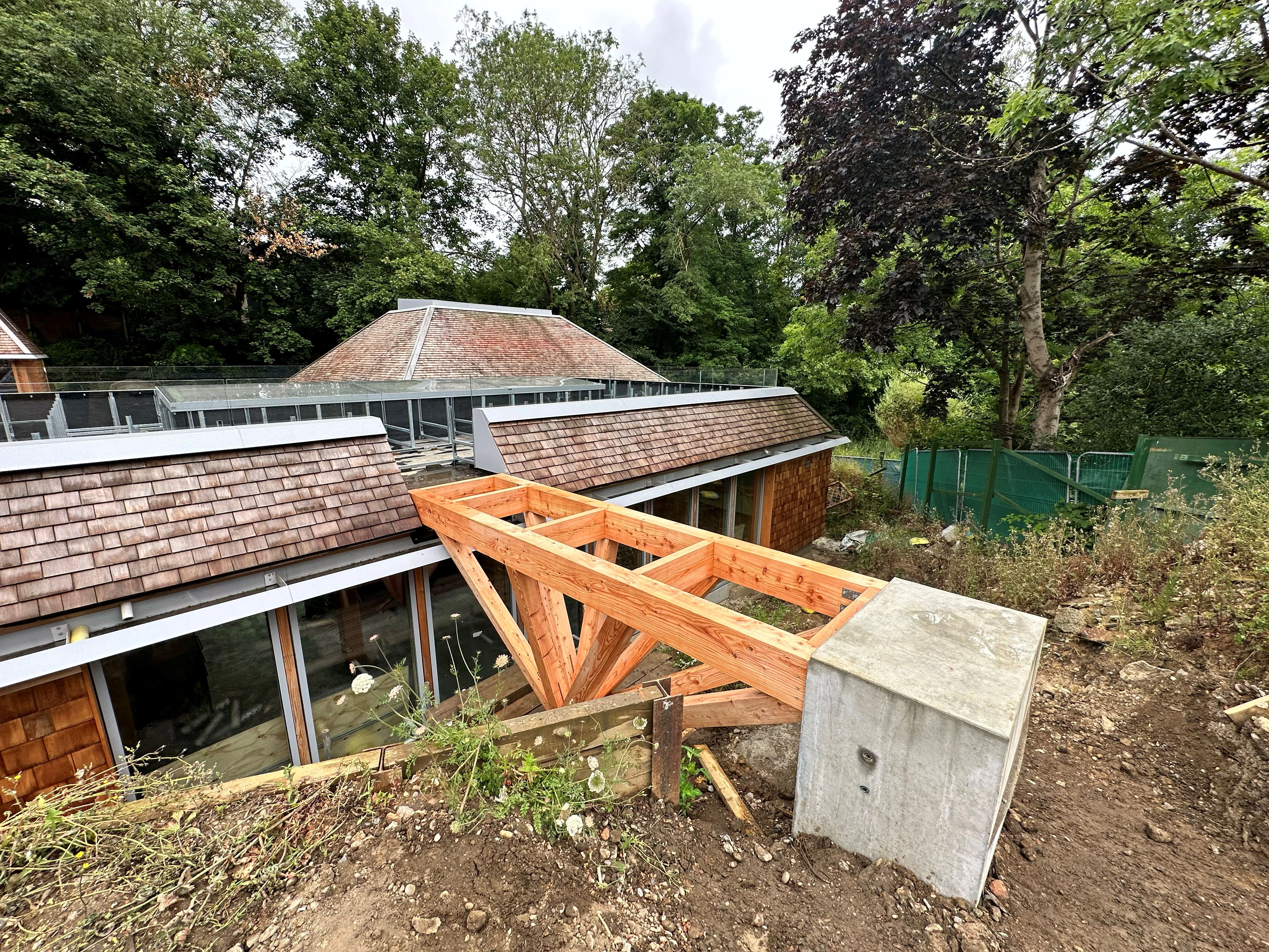 A larch footbridge during construction