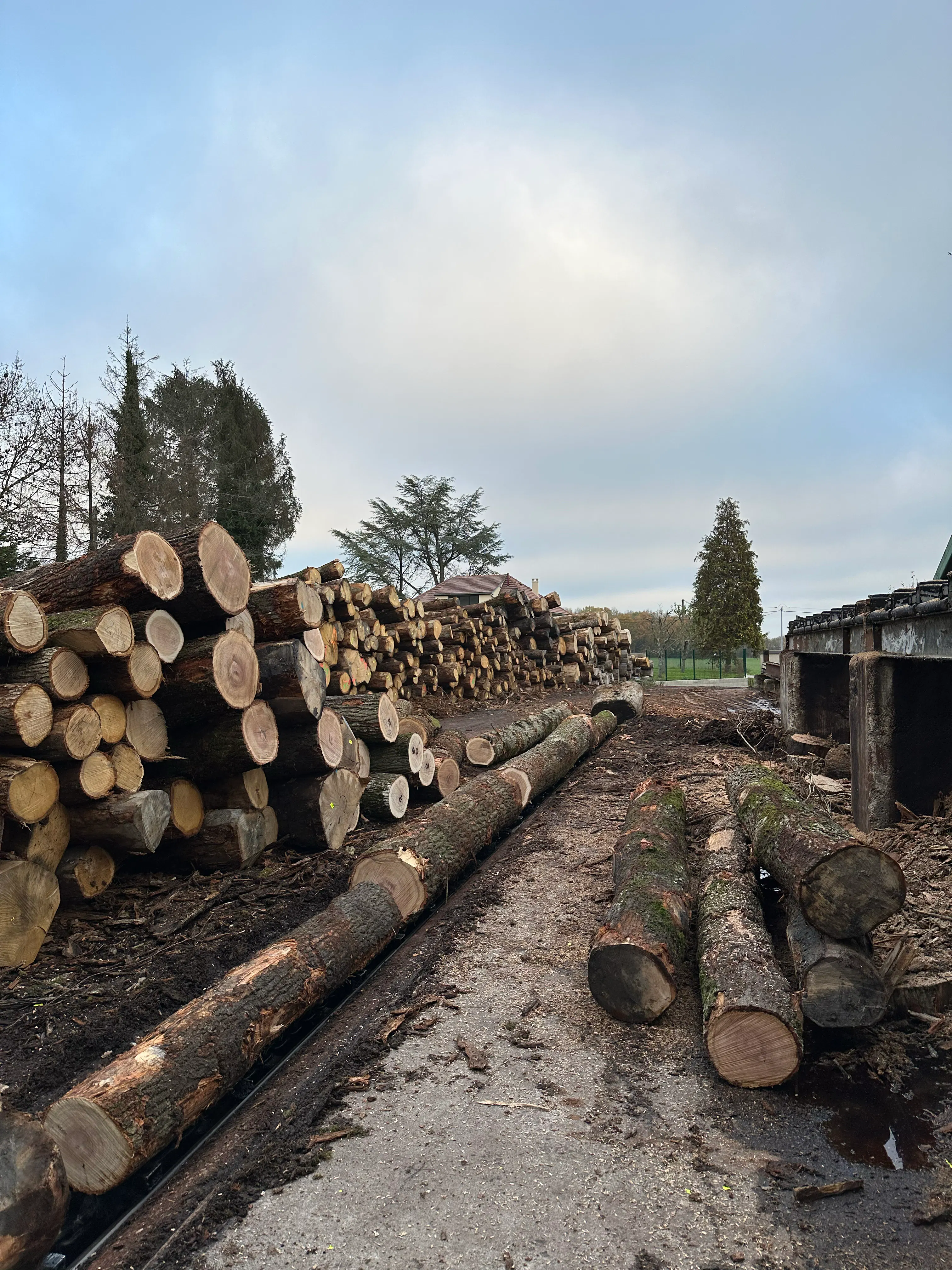 Sawmill_France