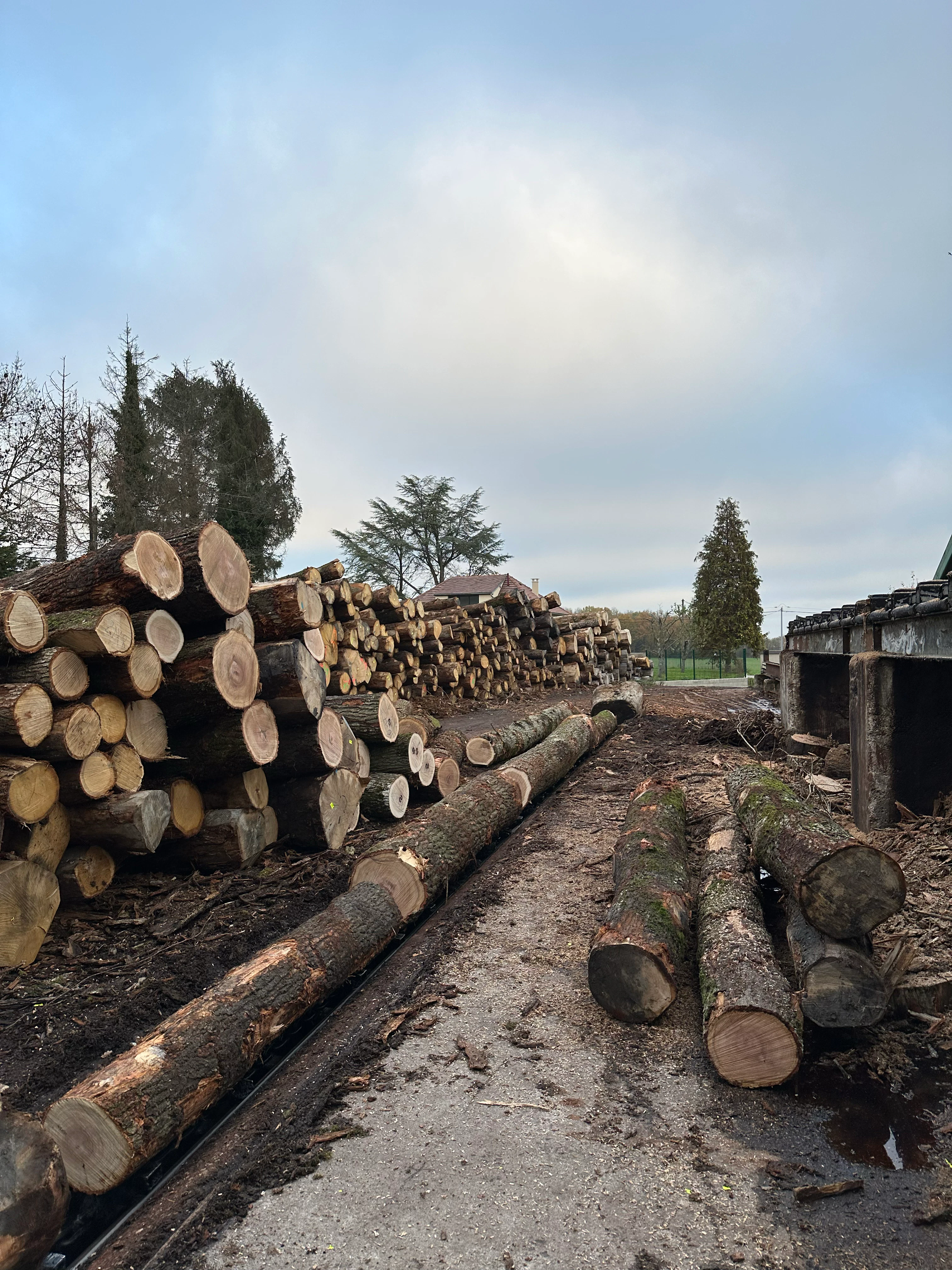 Sawmill_France