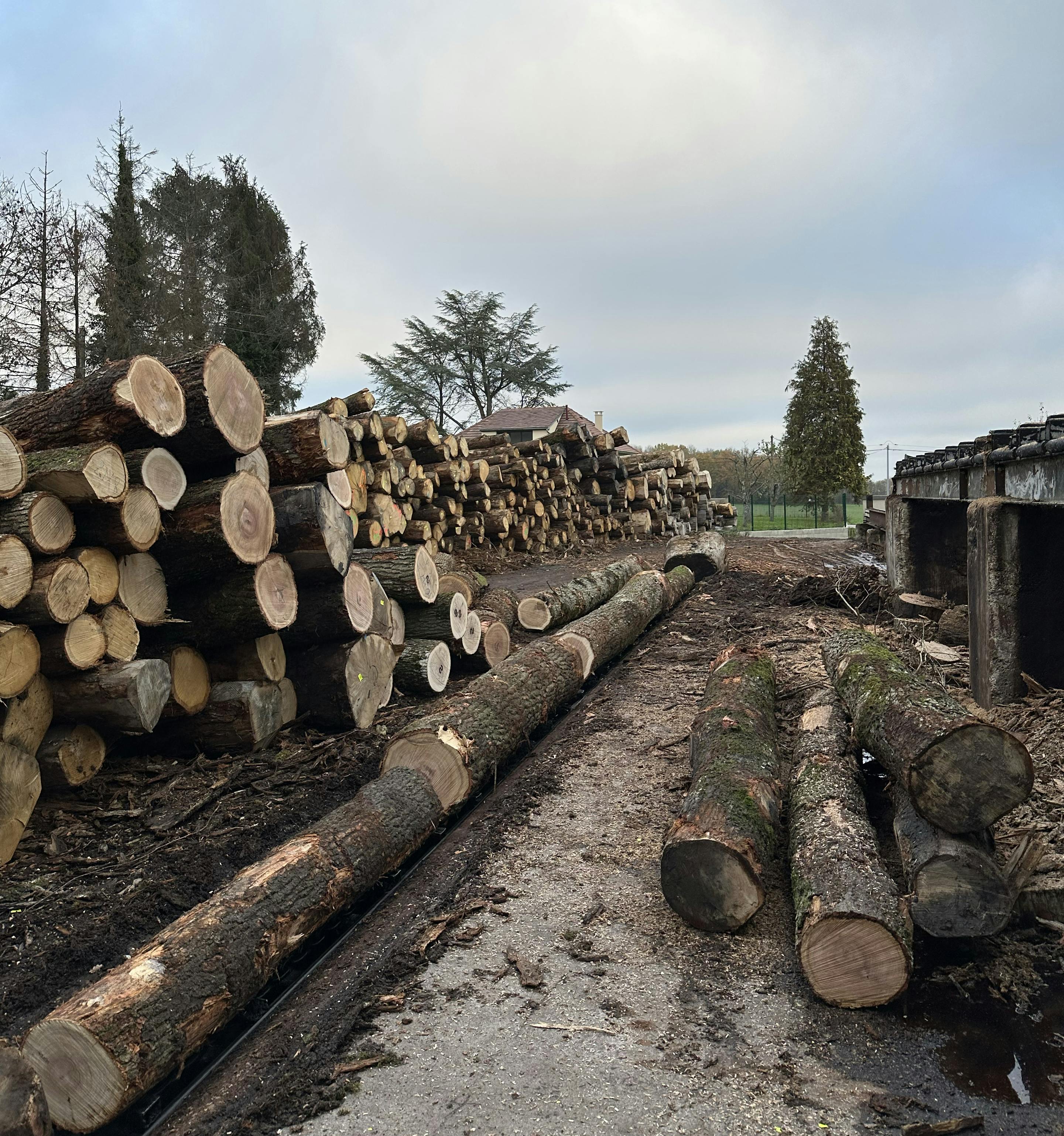 Sawmill_France