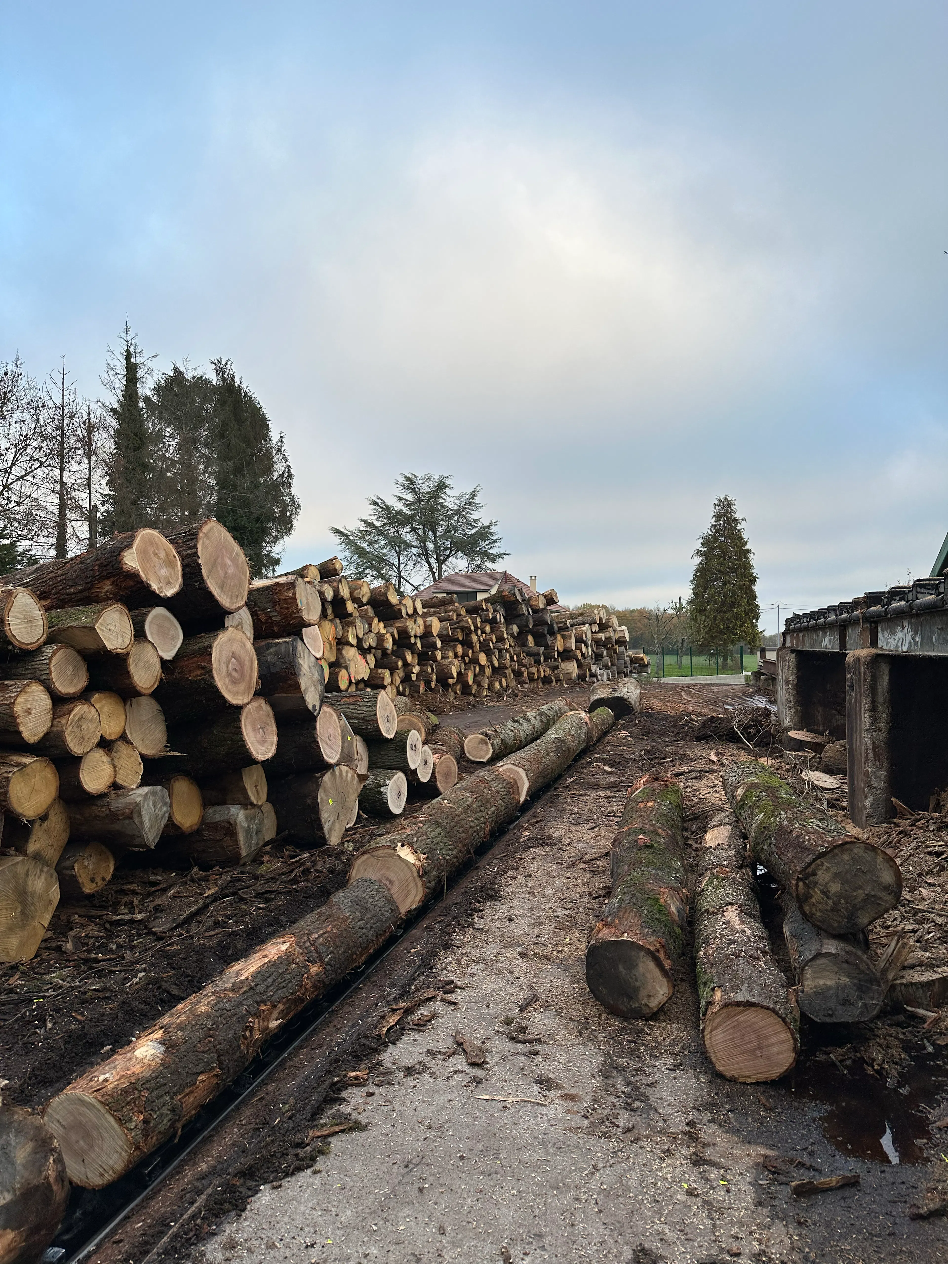 Sawmill_France
