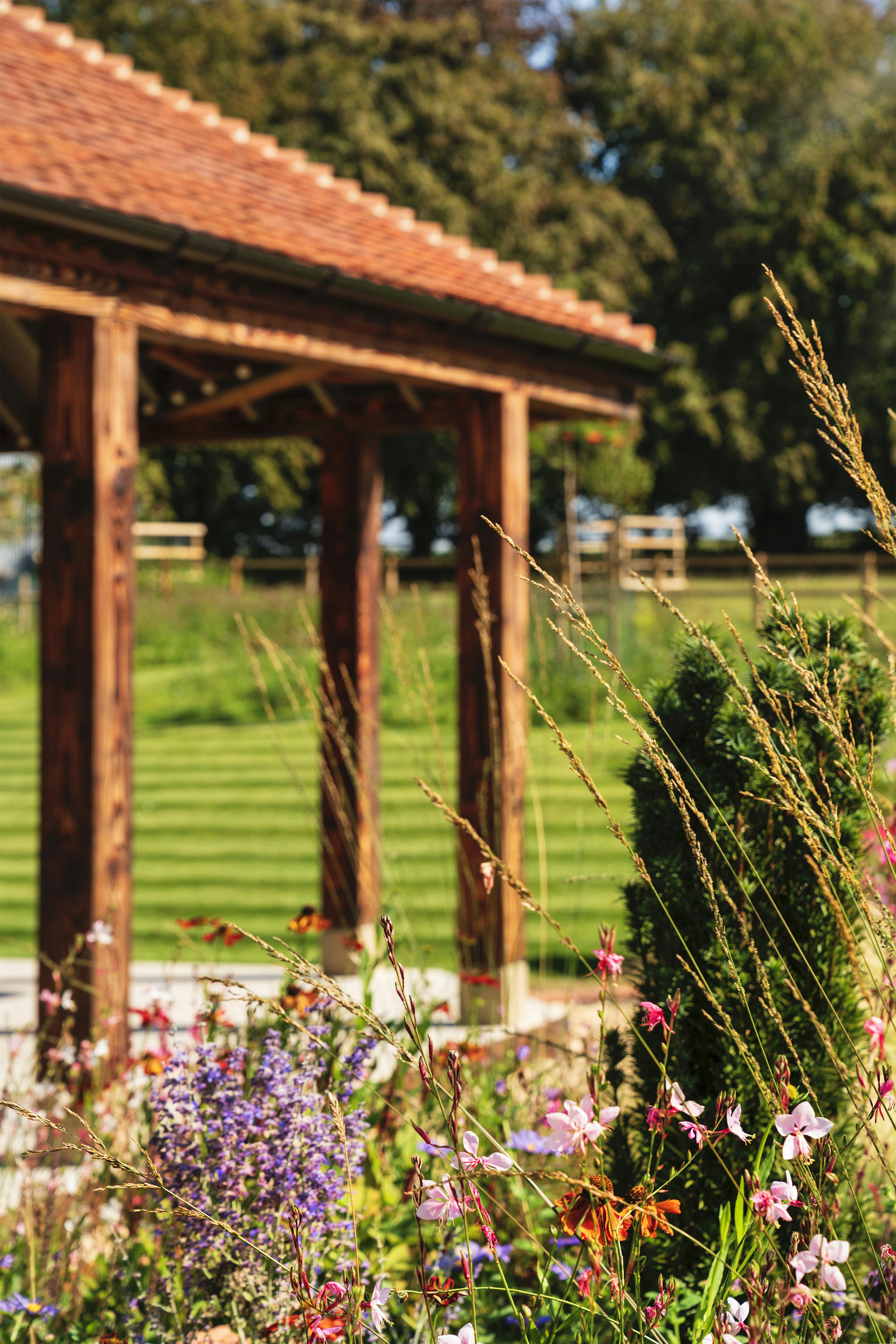 A charred Douglas fir framed garden annex in a landscaped garden with flowers in the foreground