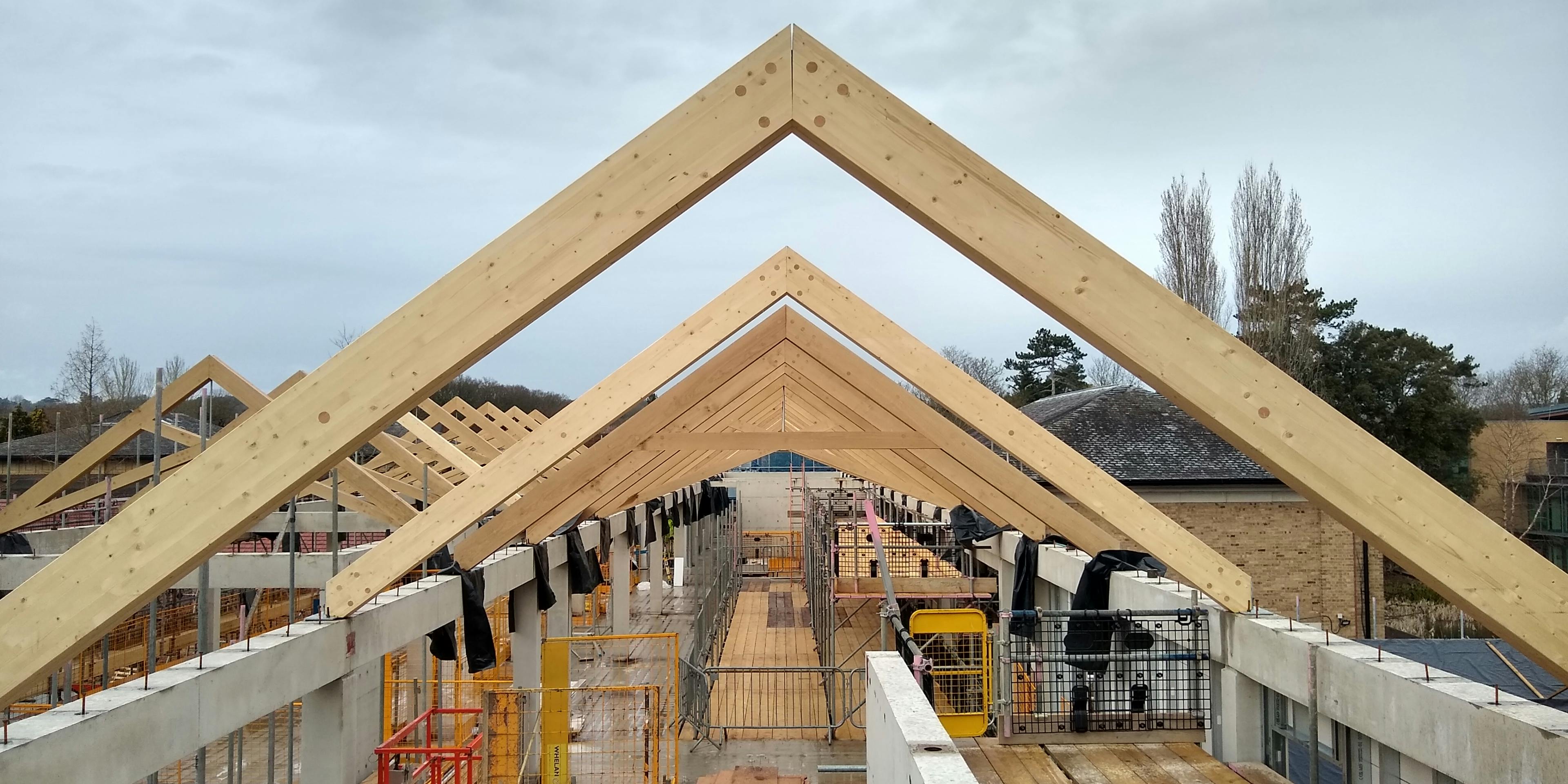 Air dried oak scissor trusses being installed for a roof in a school building