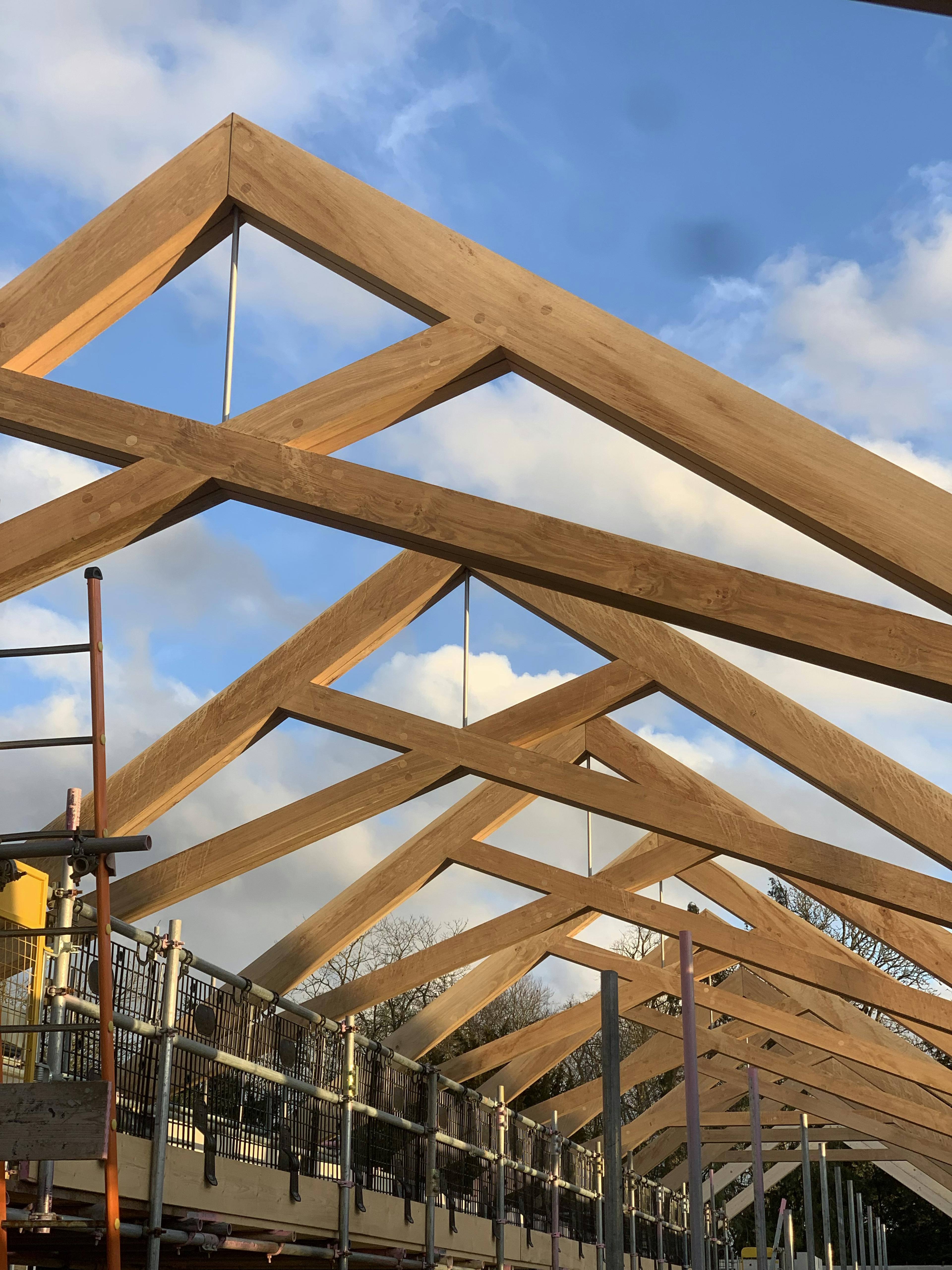 Air dried oak scissor trusses being installed for a roof in a school building