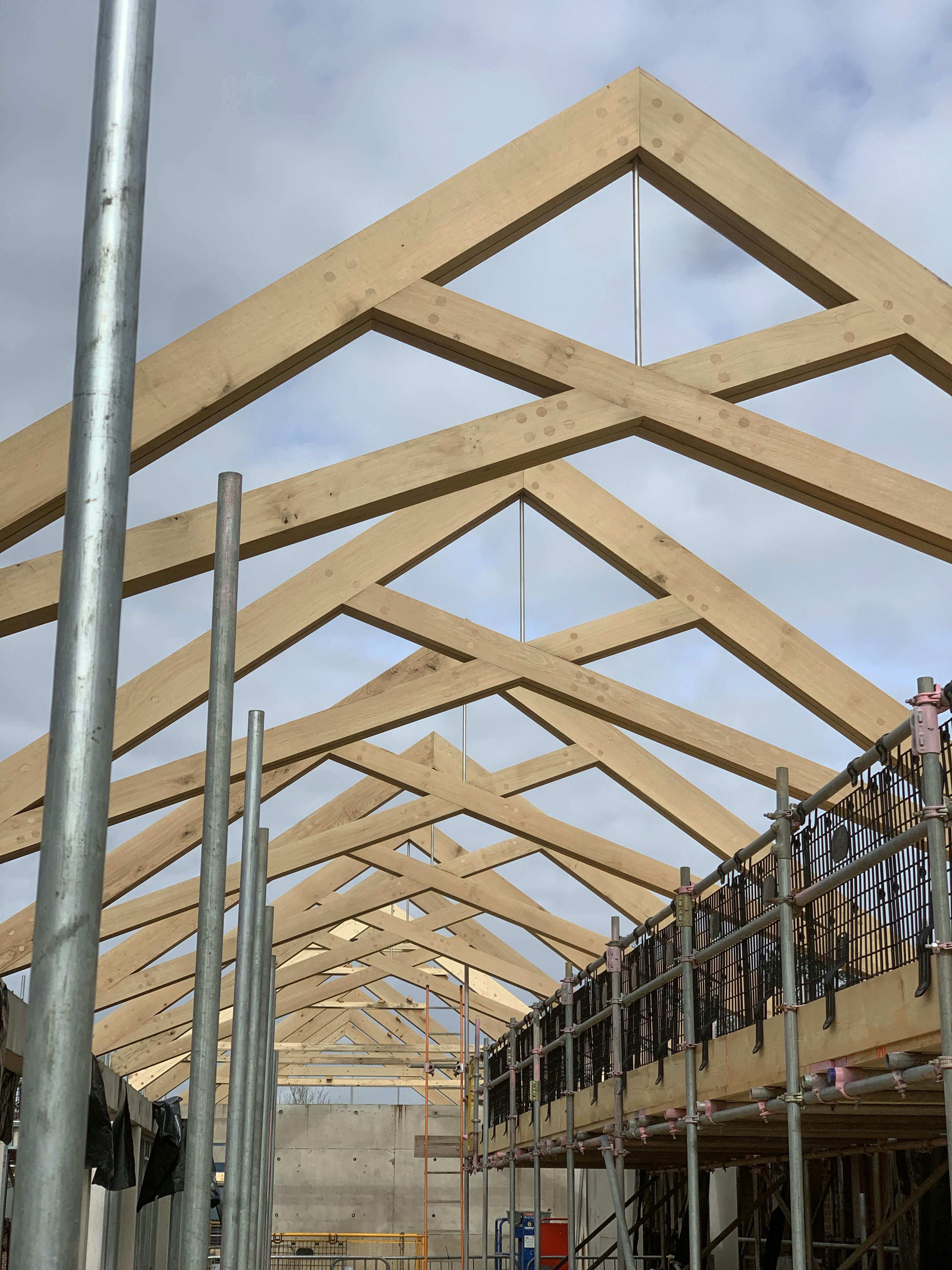 Air dried oak scissor trusses being installed for a roof in a school building