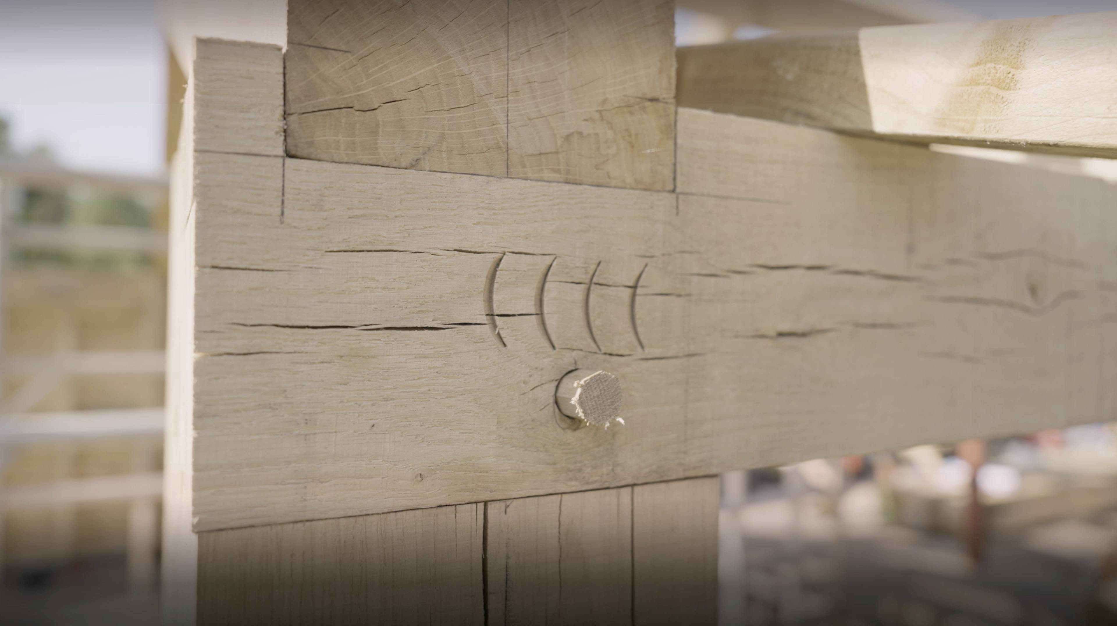 Closeup_Detail_Oak_Site