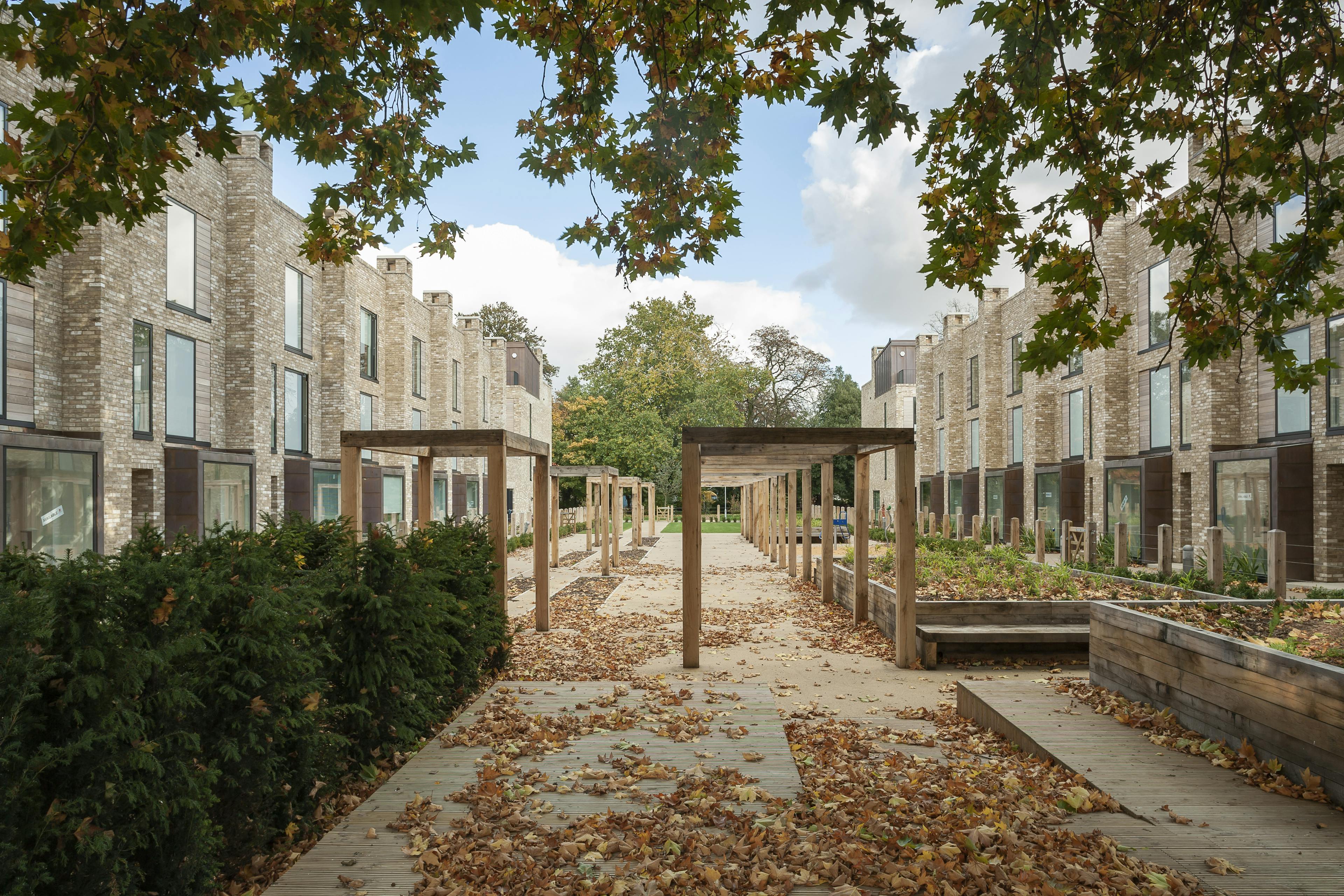 Exterior view of houses and apartments overlooking a courtyard garden with oak-framed pergolas.