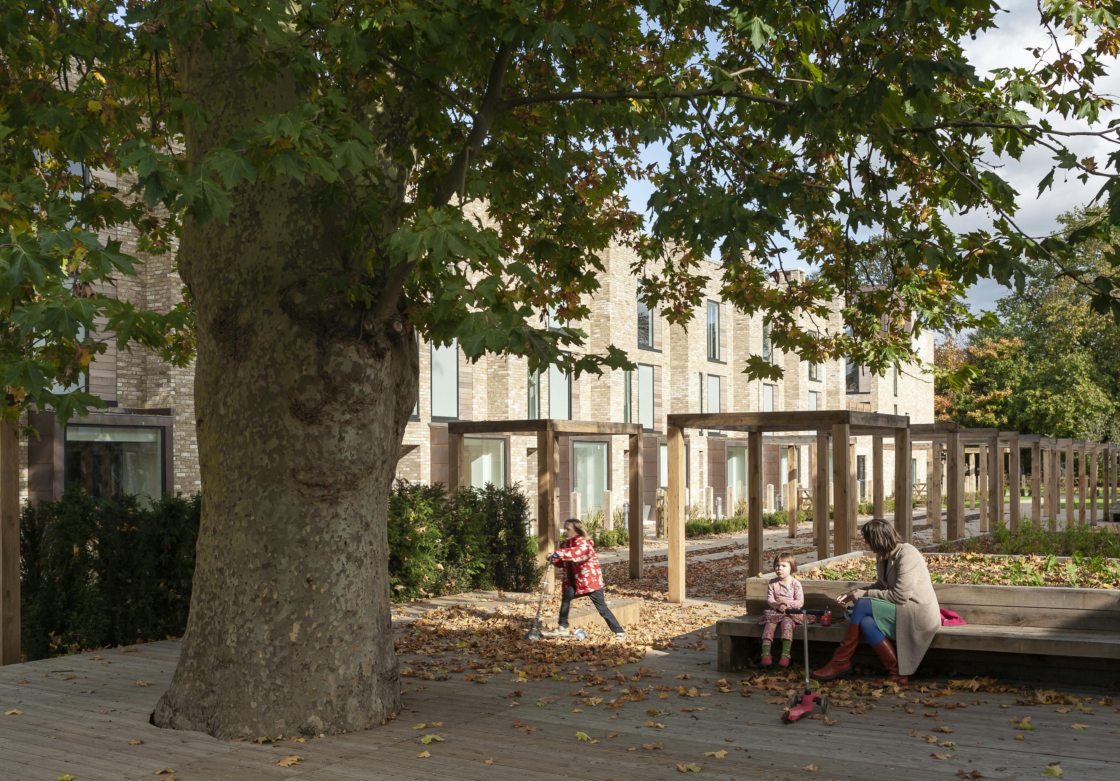 Exterior view of a courtyard garden featuring oak-framed pergolas, creating a peaceful space for residents to enjoy