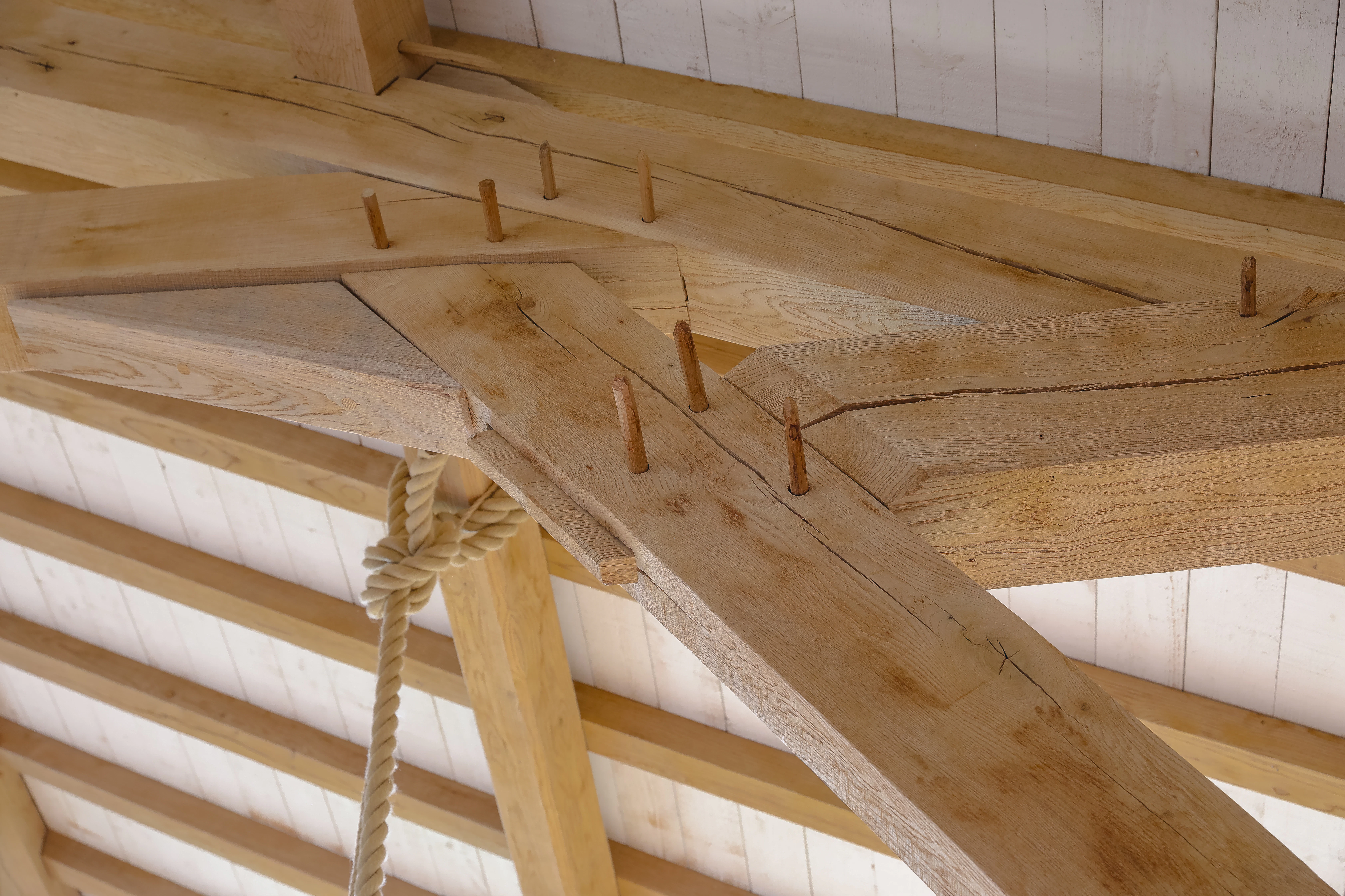 A close up image of a joint on an oak frame with the wooden pegs protruding