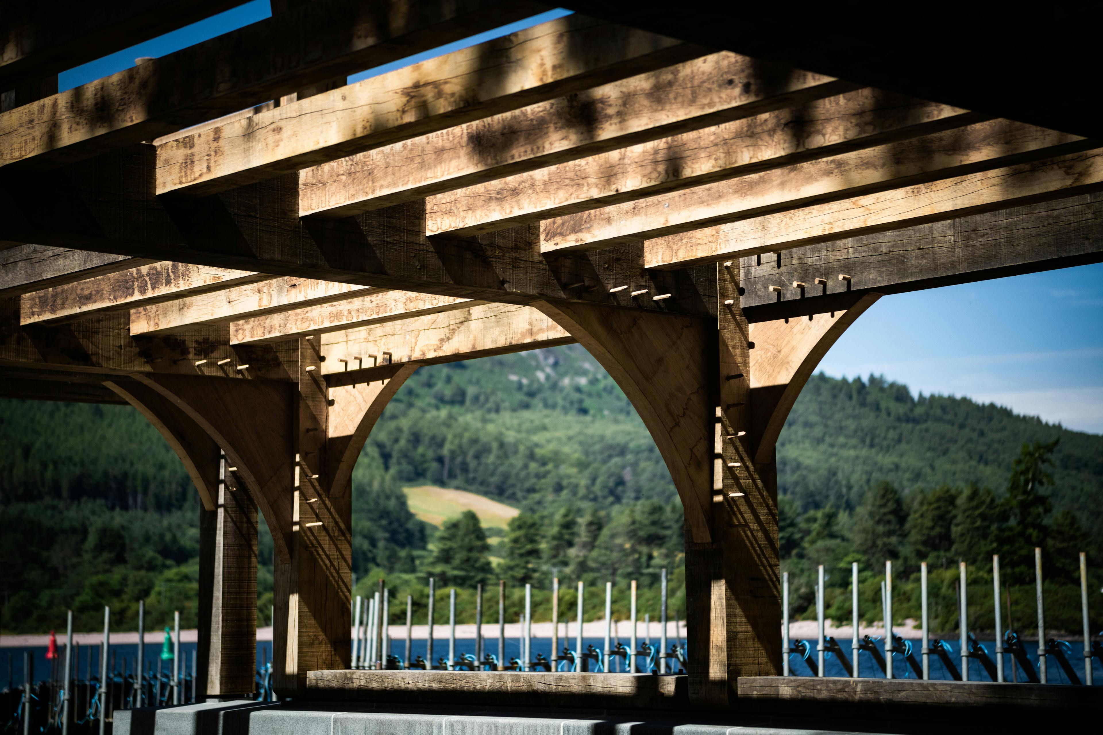 Sun shines on an oak frame being installed by a lake with views of trees on the other side of the lake
