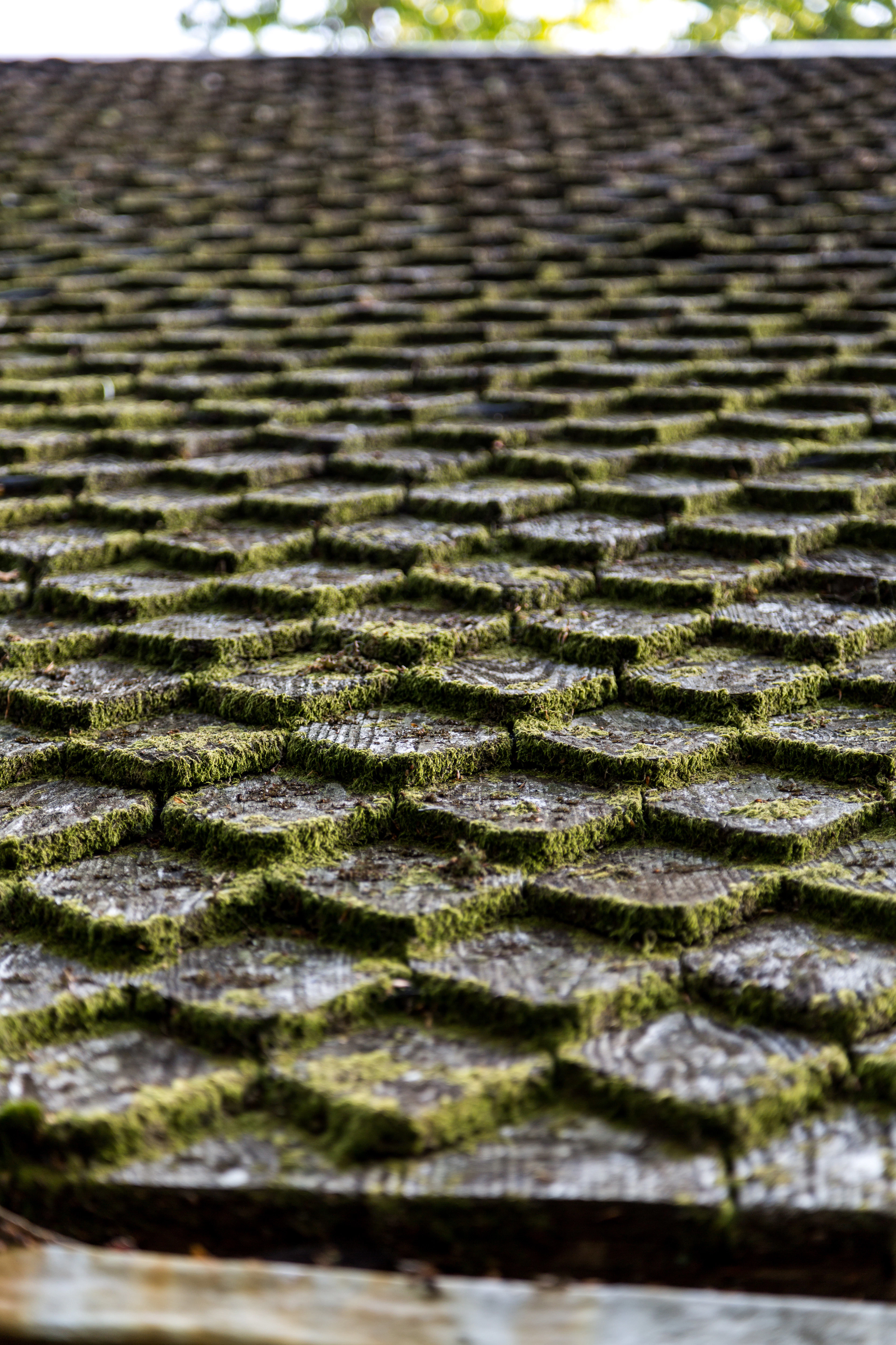 A close up of the shingled angled roof of a pavilion