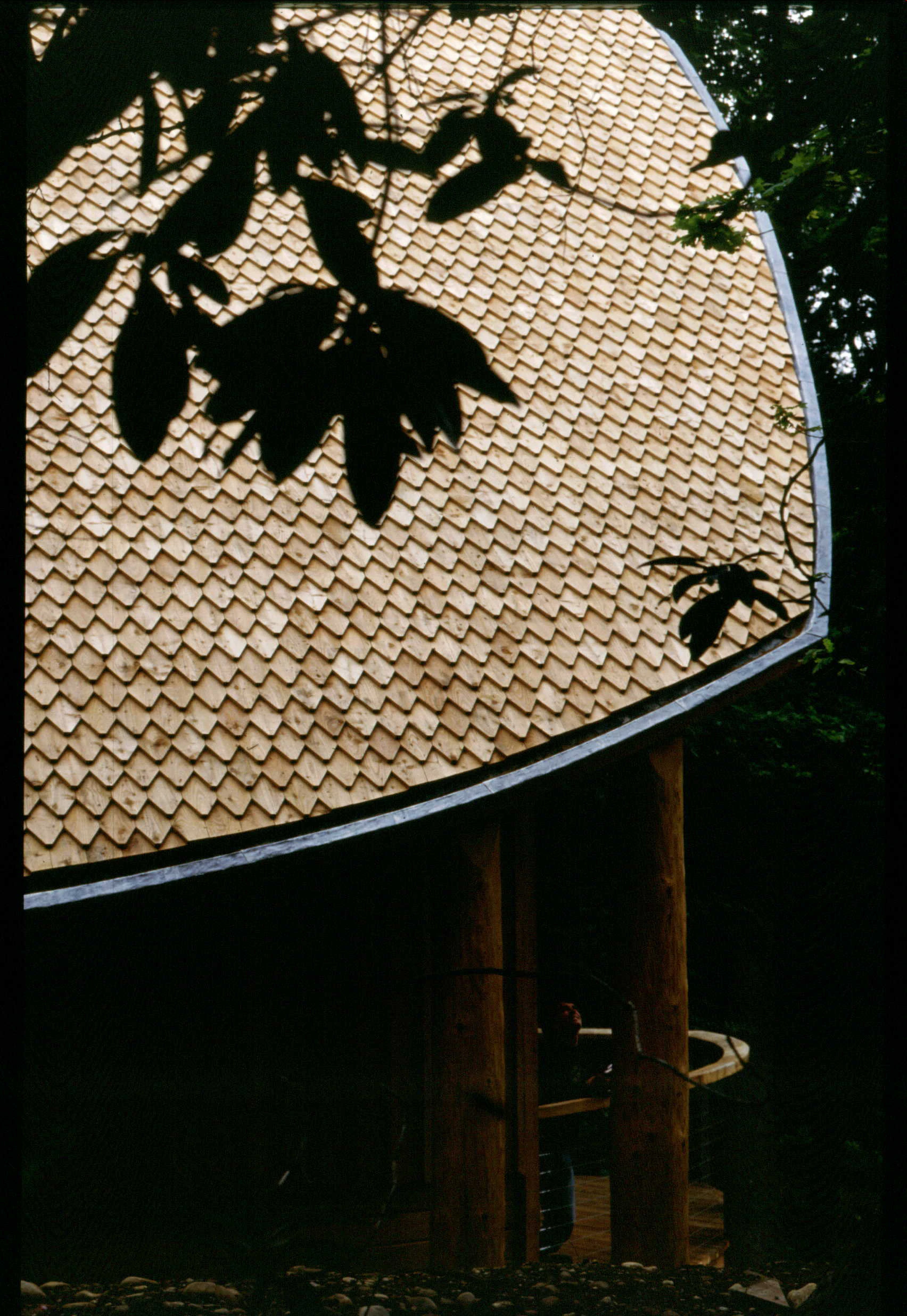 The shingled angled roof of a wooden pavilion