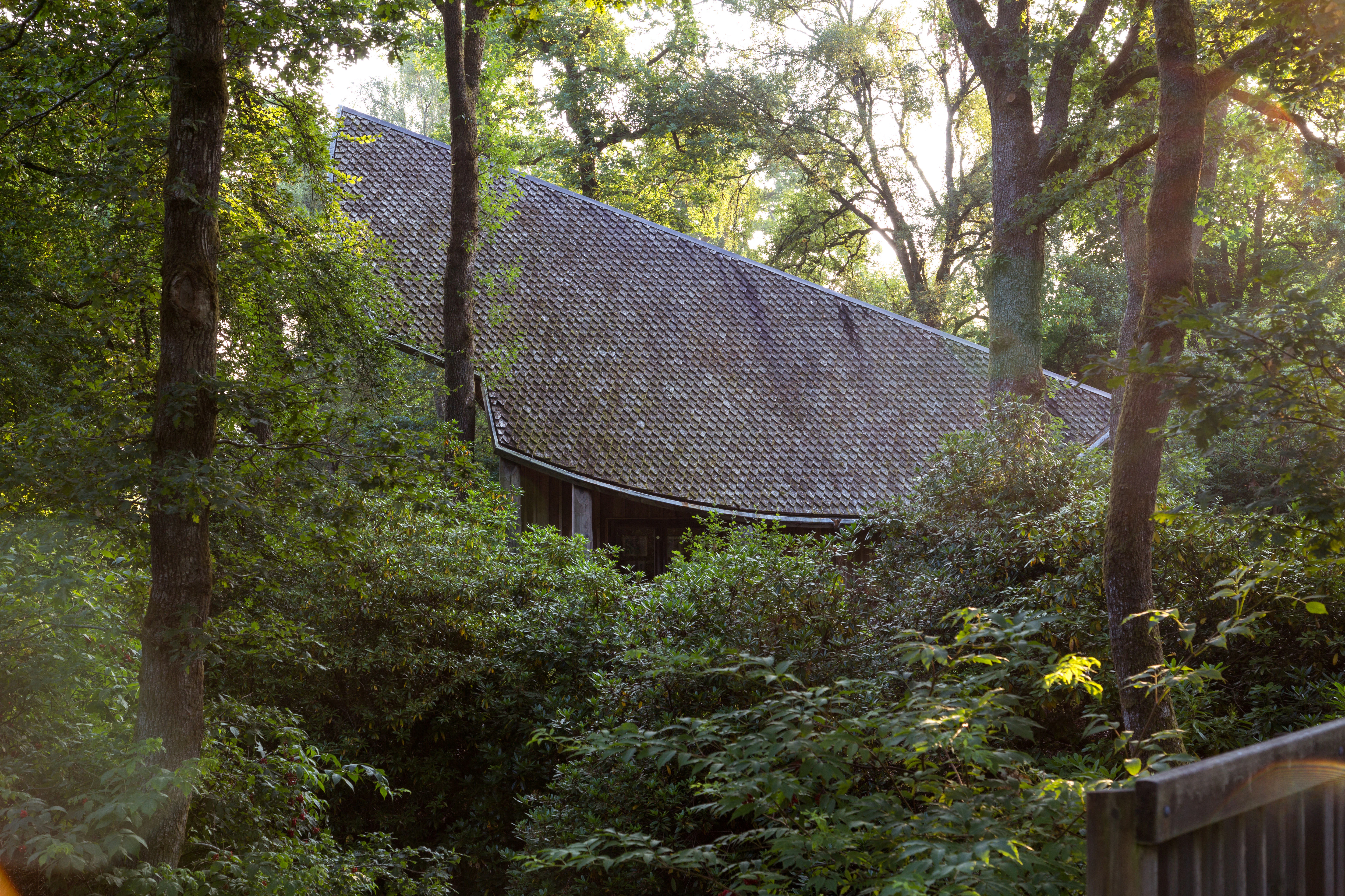The shingled angled roof of a wooden pavilion can be seen between trees