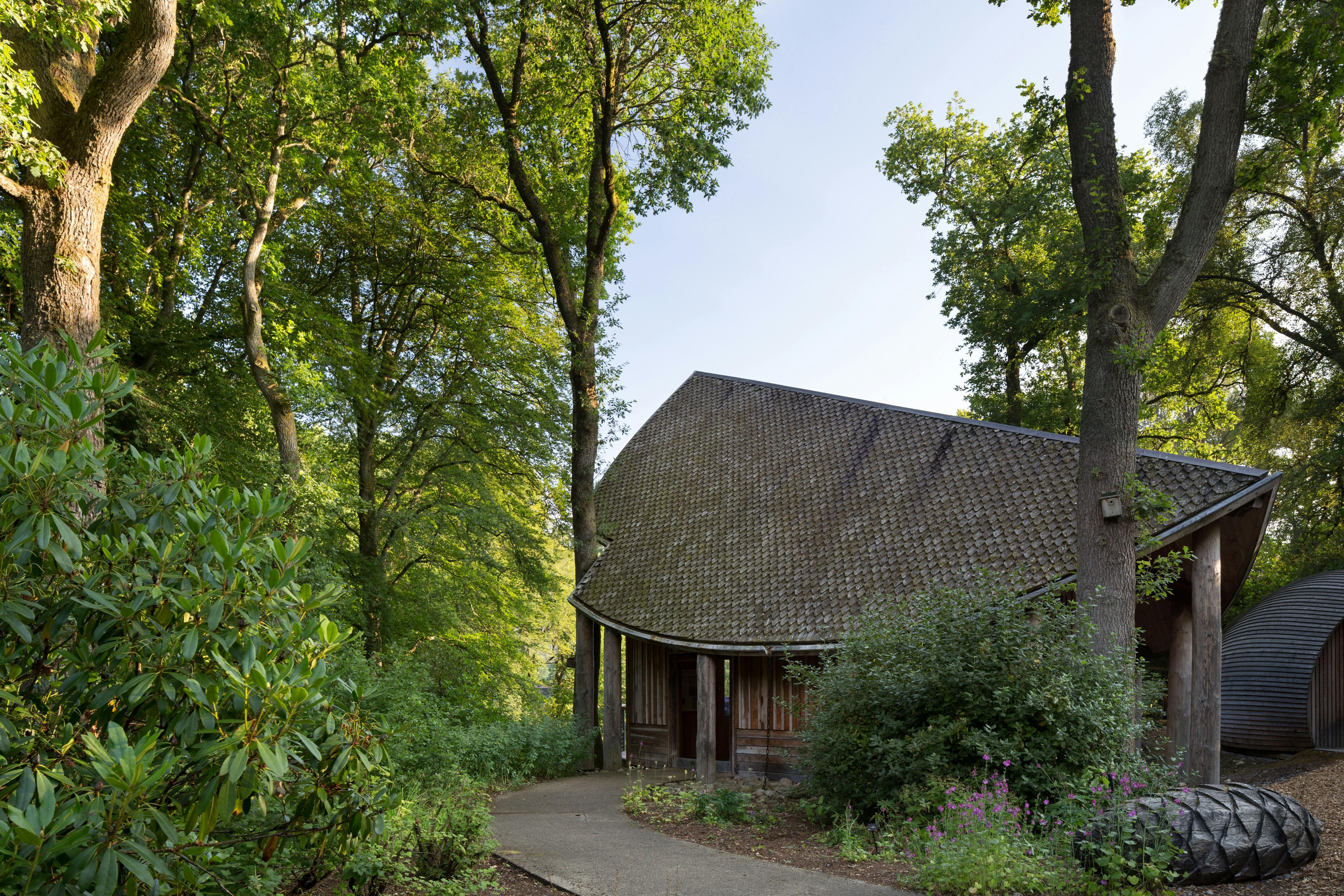 A path leads to the shingled angled roof of a wooden pavilion between trees