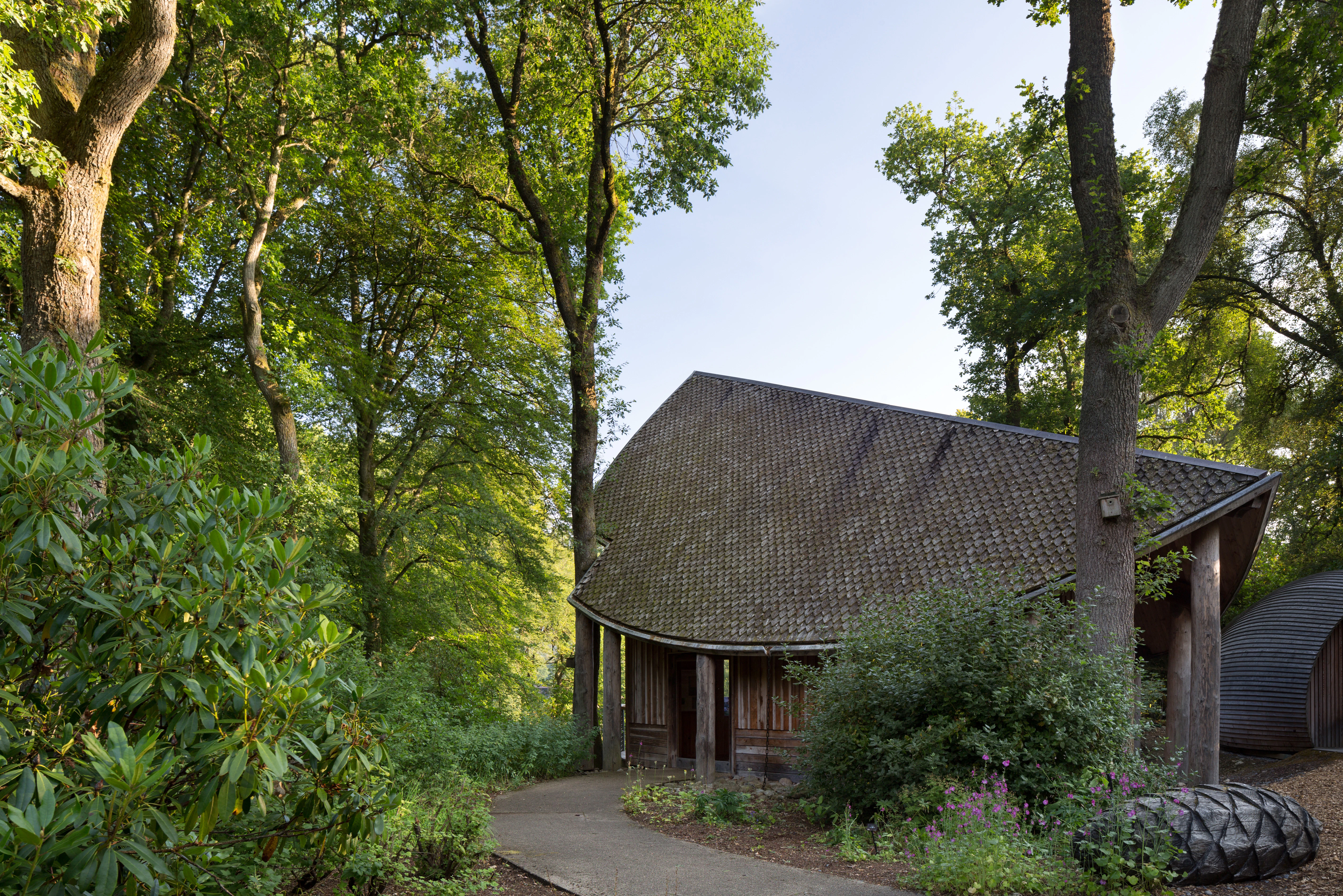 A path leads to the shingled angled roof of a wooden pavilion between trees
