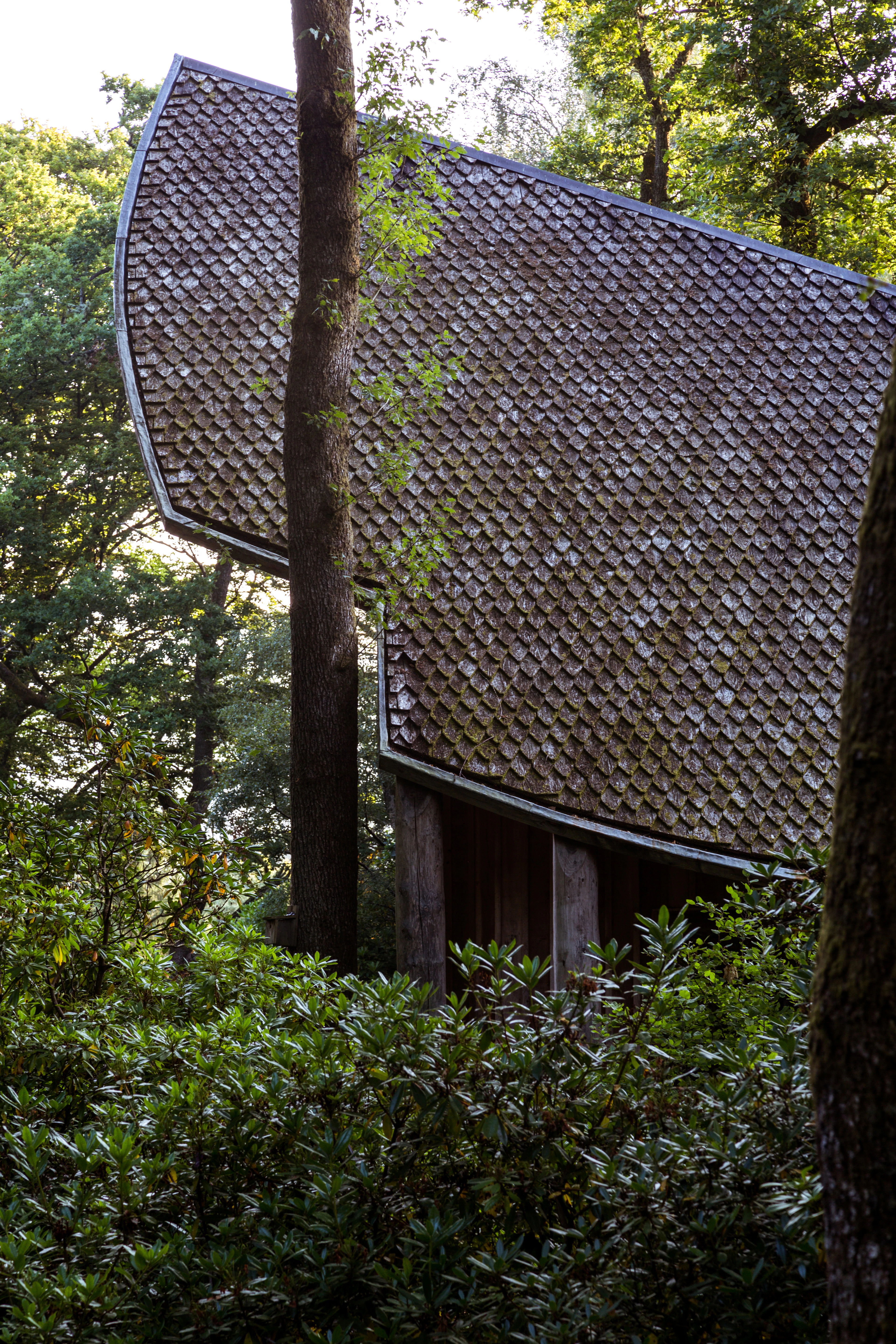 The shingled angled roof of a wooden pavilion can be seen between trees