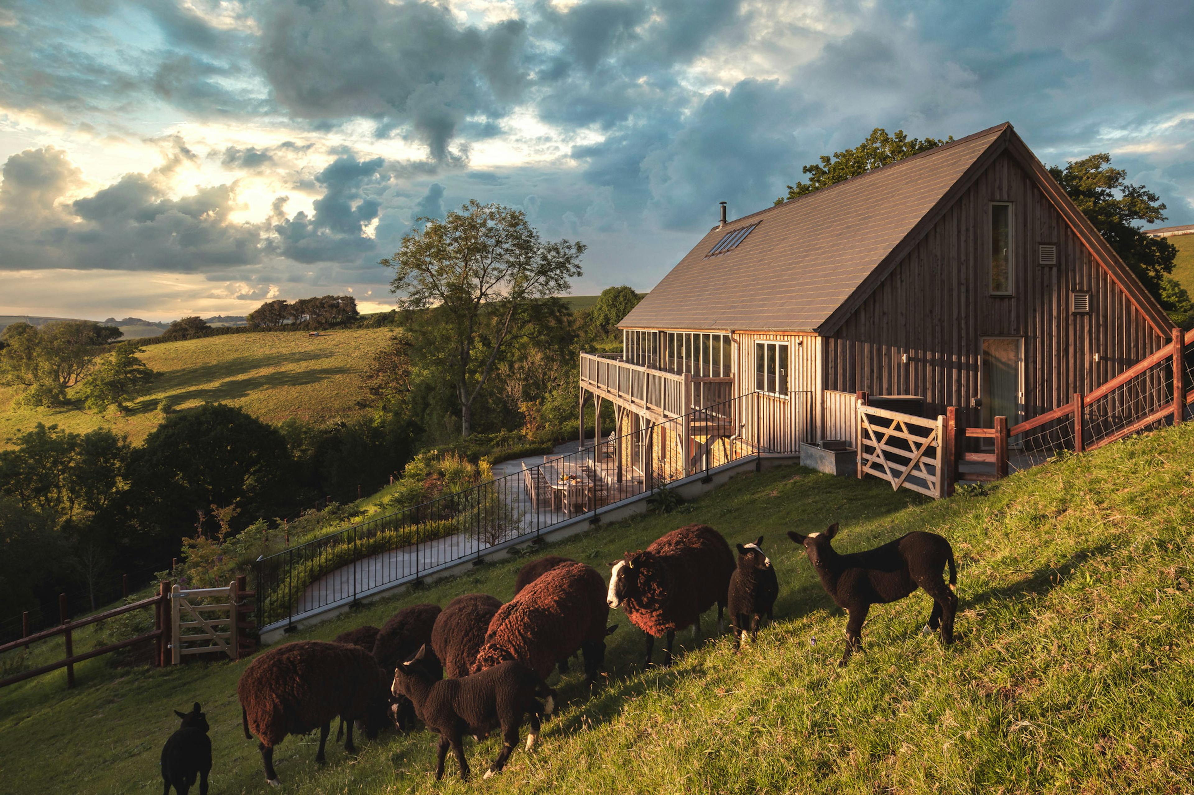 A timber clad oak framed home with a balcony in the countryside, with sheep in the field in front