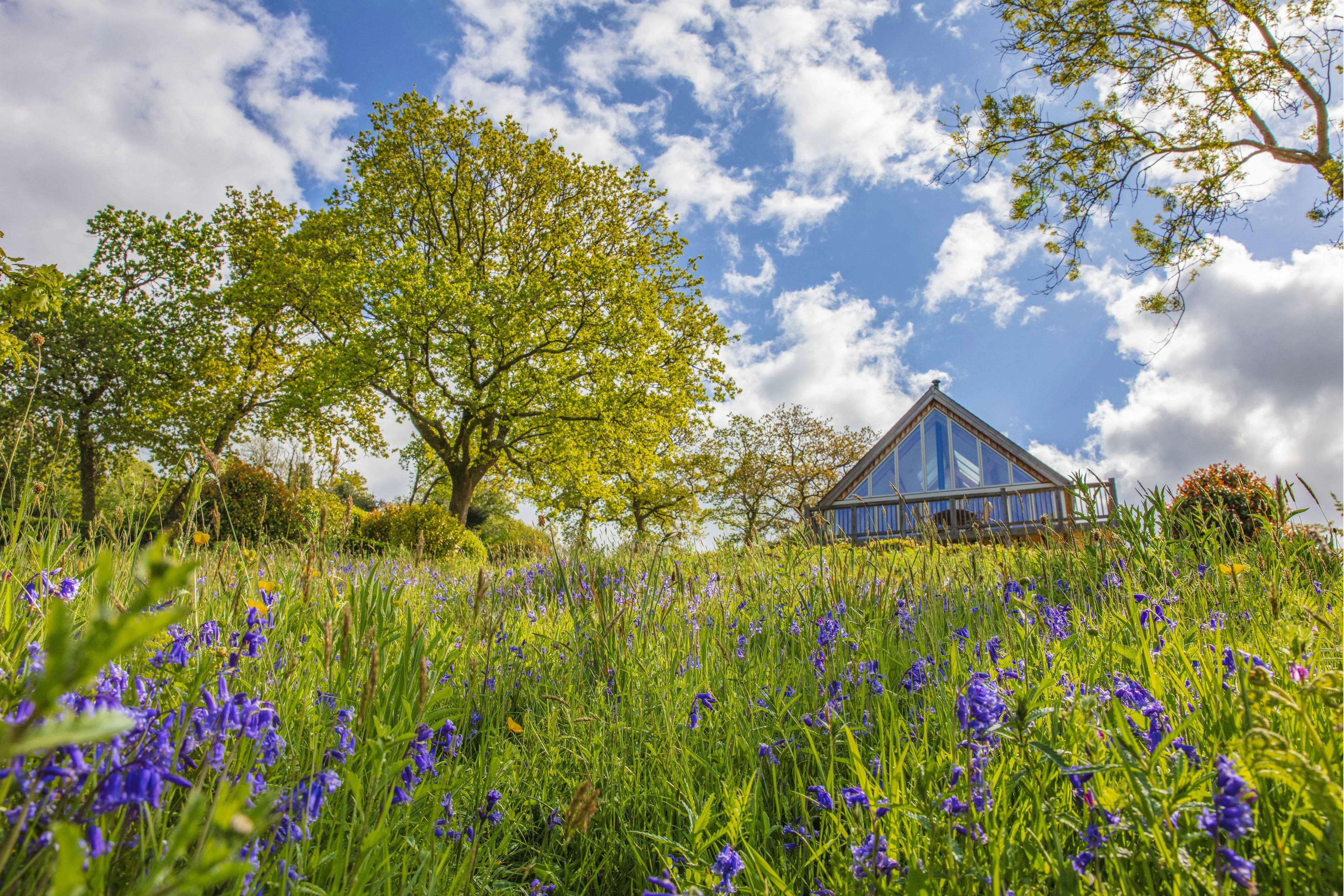 A timber clad oak framed home with a balcony and a glazed gable end with a meadow with purple flowers in front