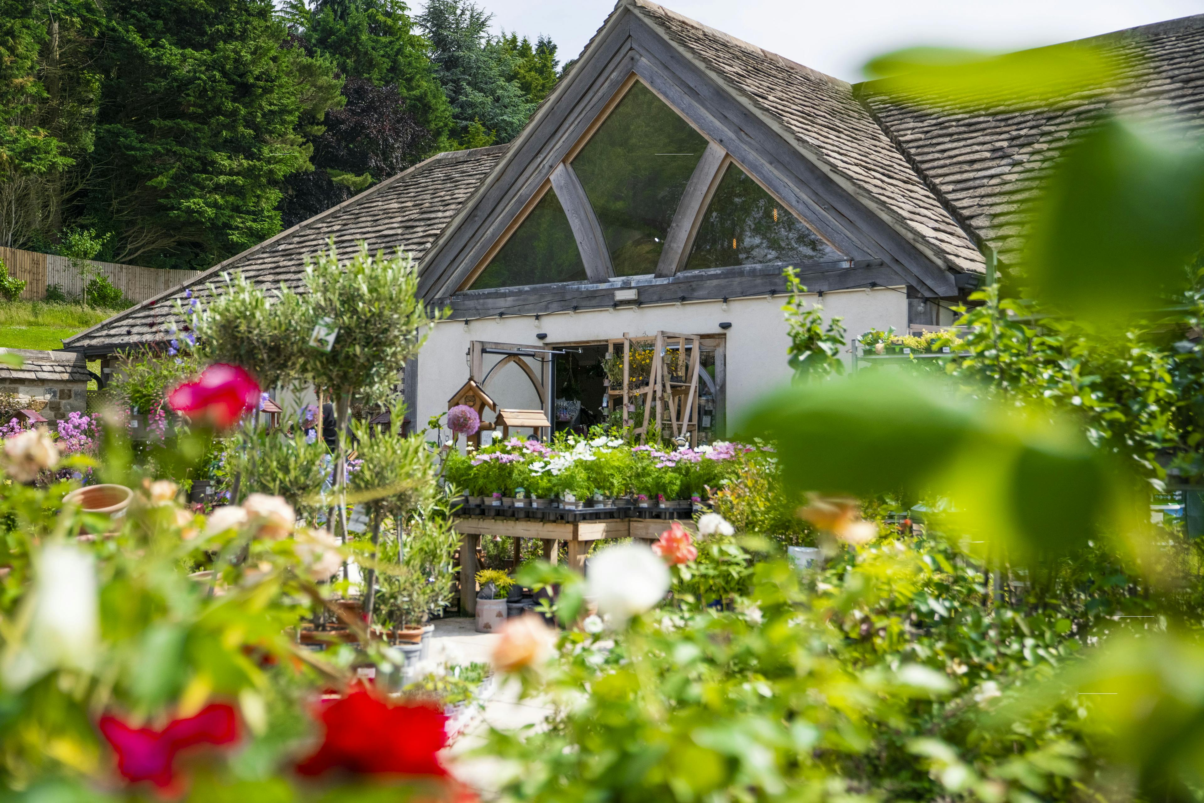 An oak framed garden centre with flowers and plants in front