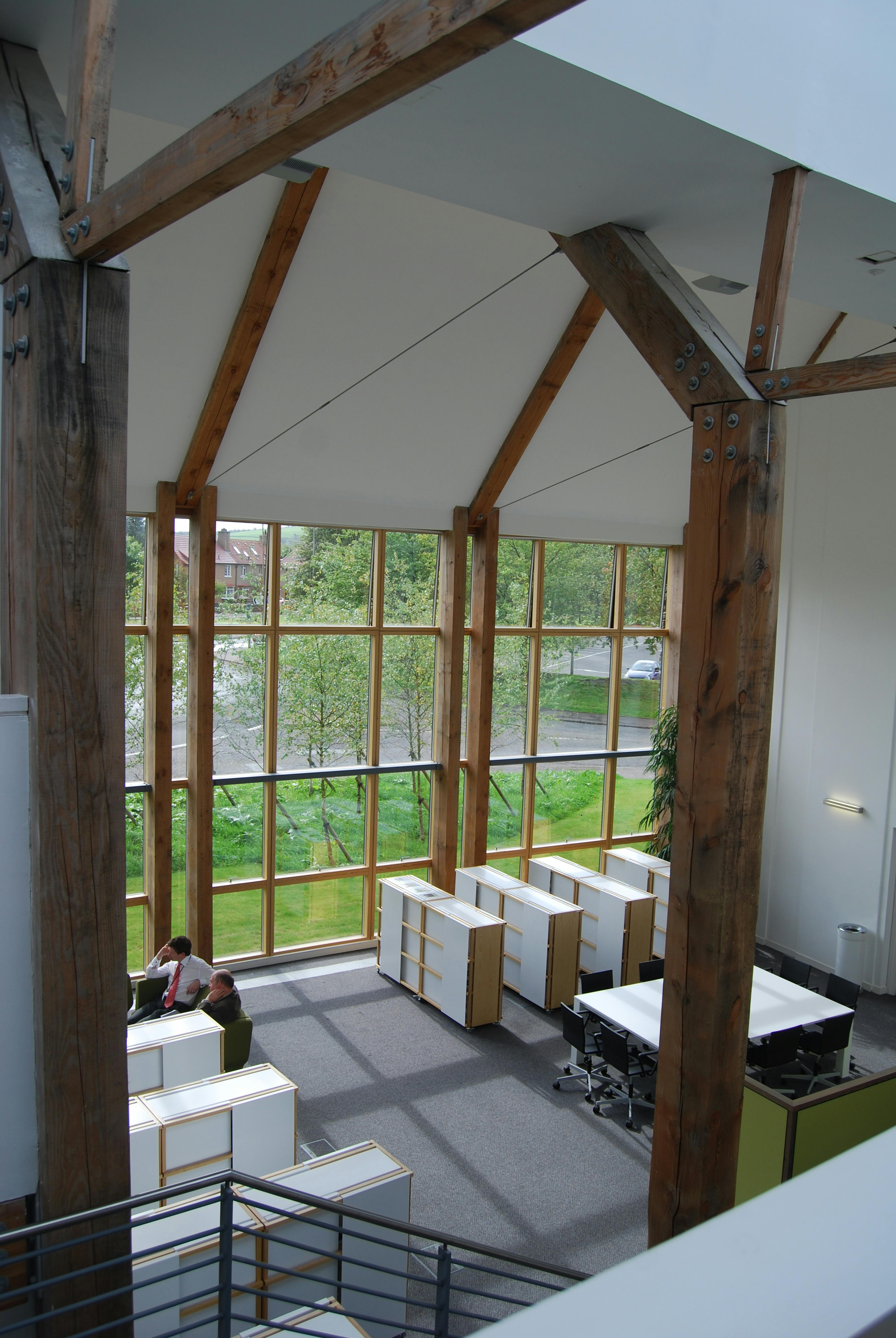 Large Douglas fir posts in a large building with rooflights