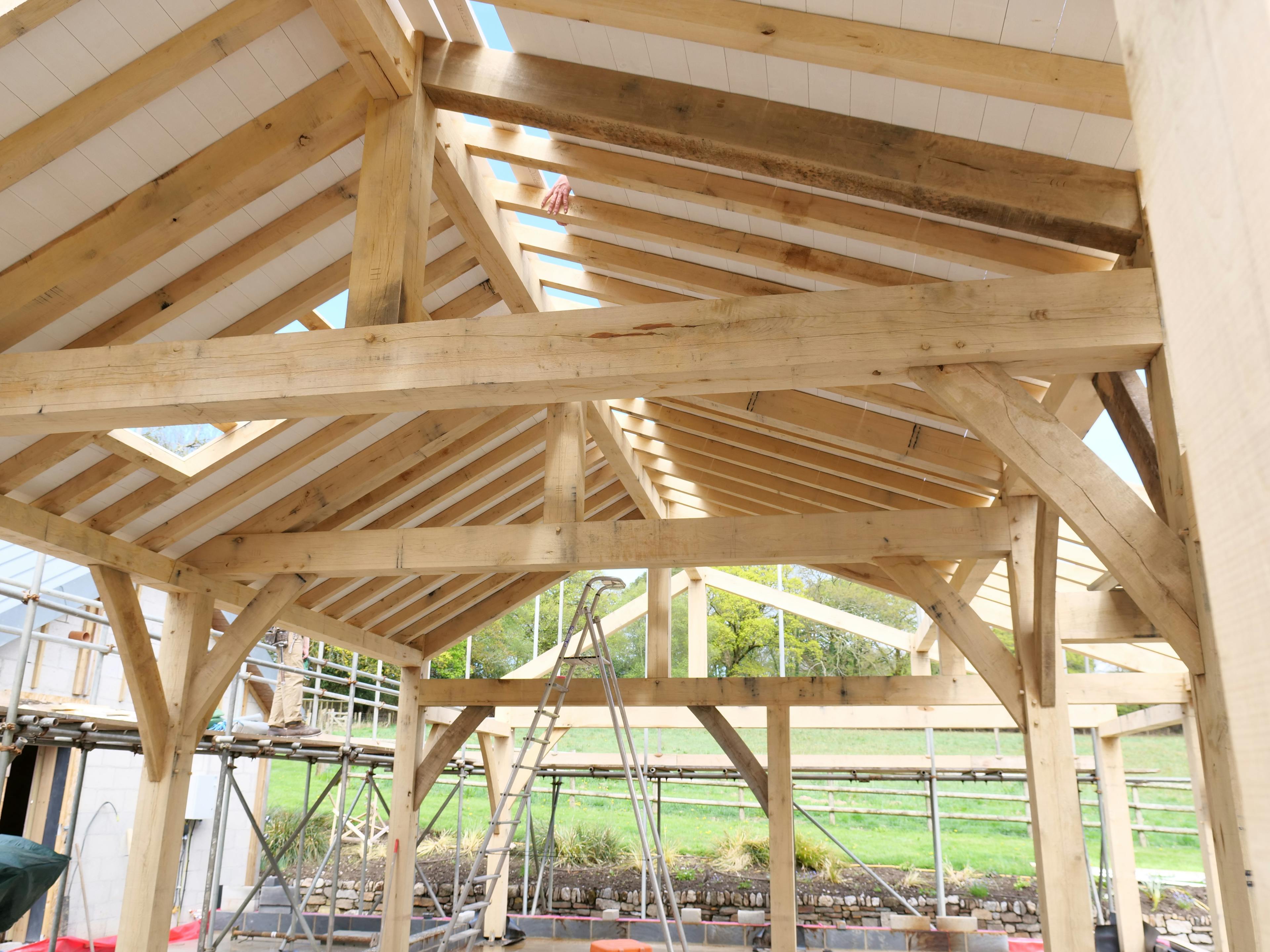 An oak frame being installed with white painted roof boarding