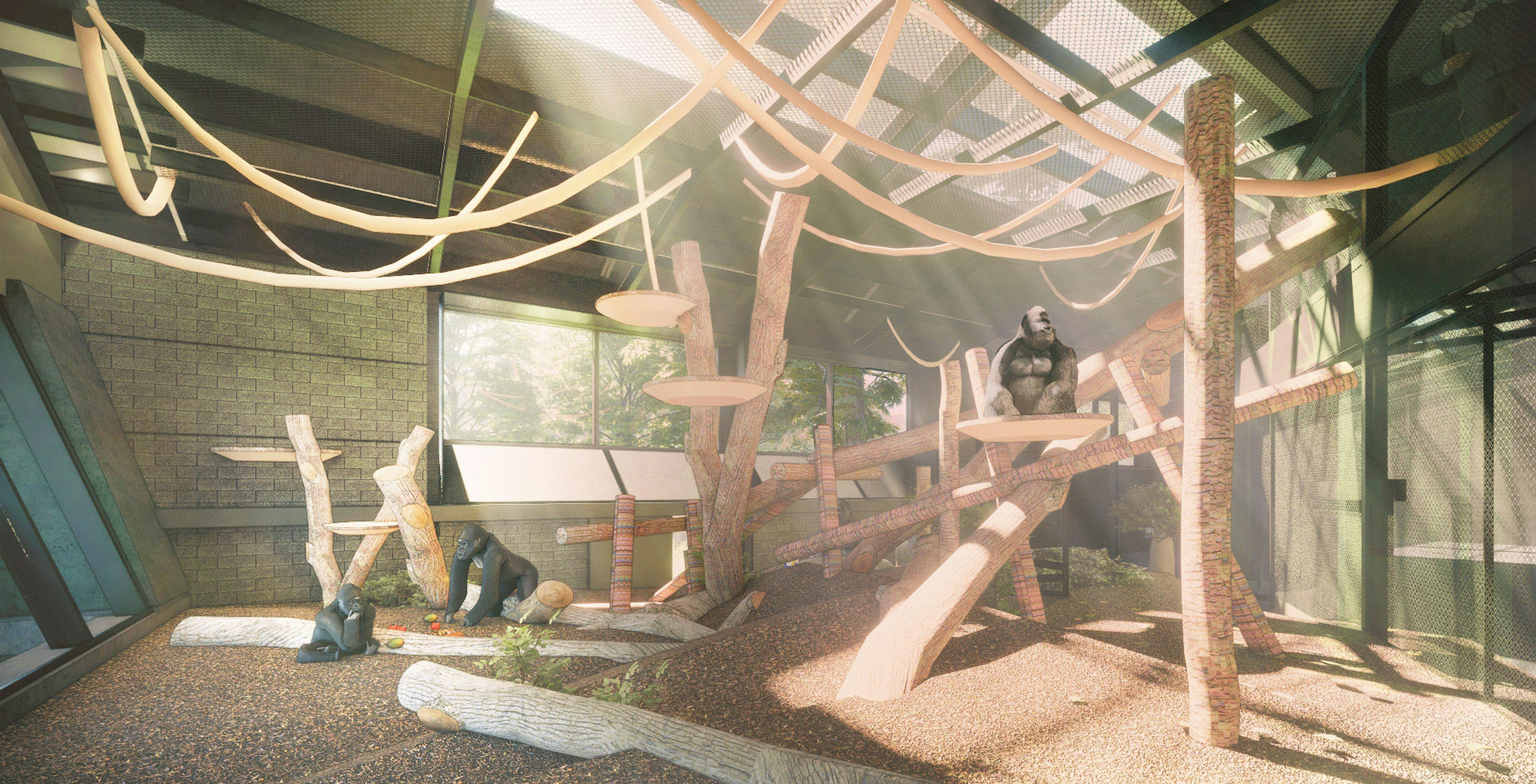A concept image for a timber structure for gorillas at Bristol Zoo