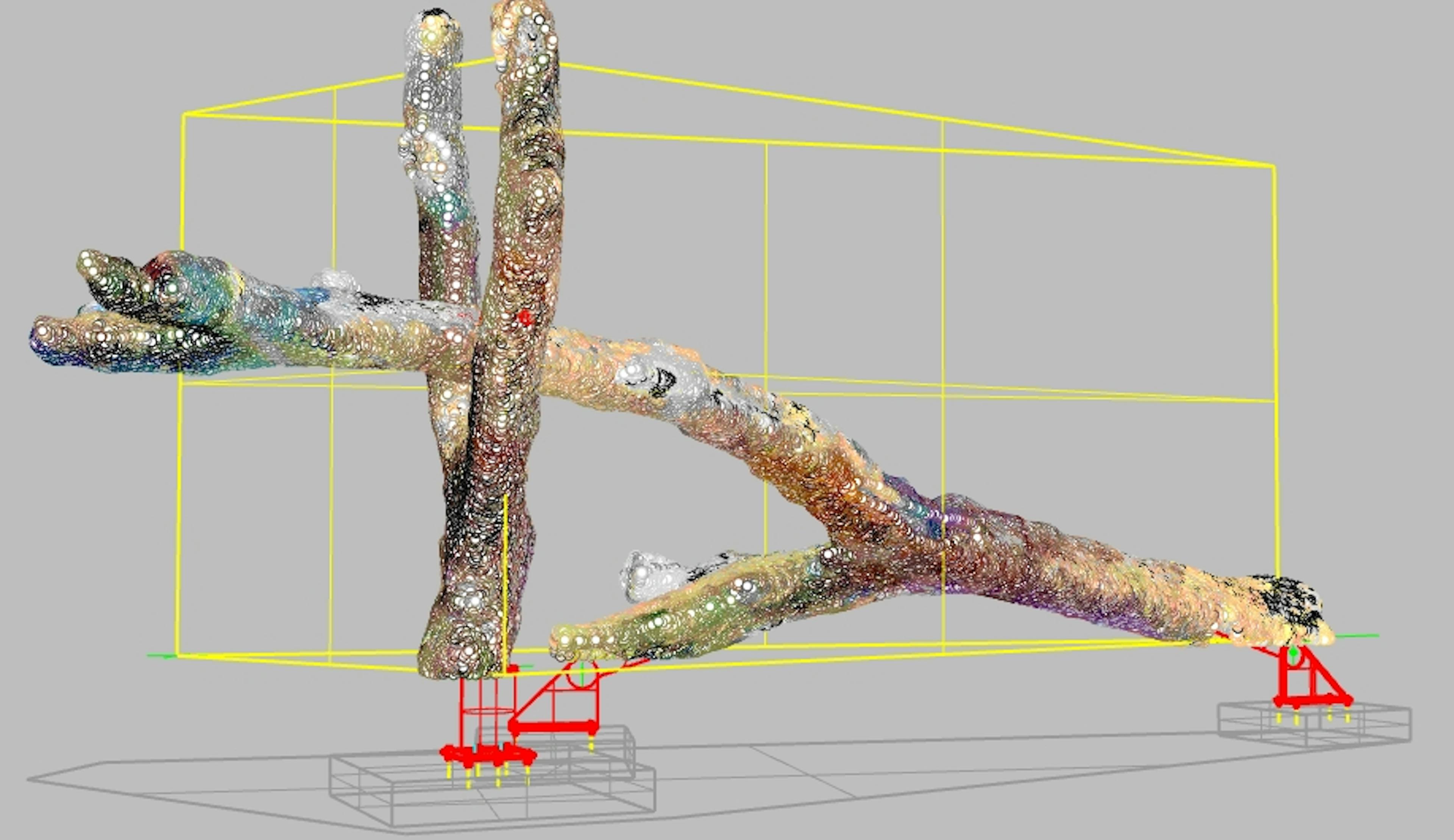 Scanned images of large pieces of timber for a structure for gorillas at Bristol Zoo