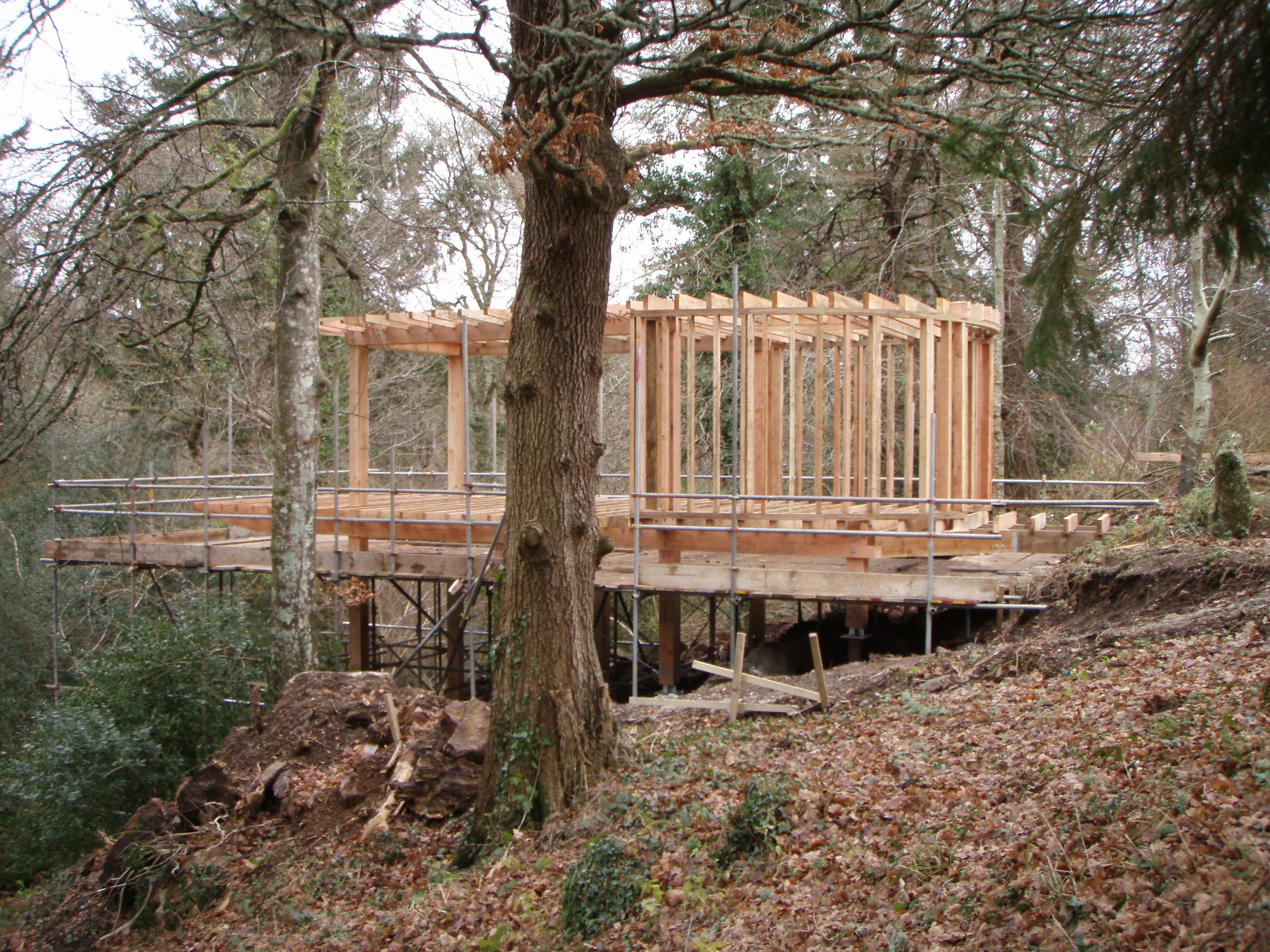 Treehouse construction site in a woodland area of Dartmoor, showing Douglas fir timber frame assembly surrounded by trees and natural vegetation