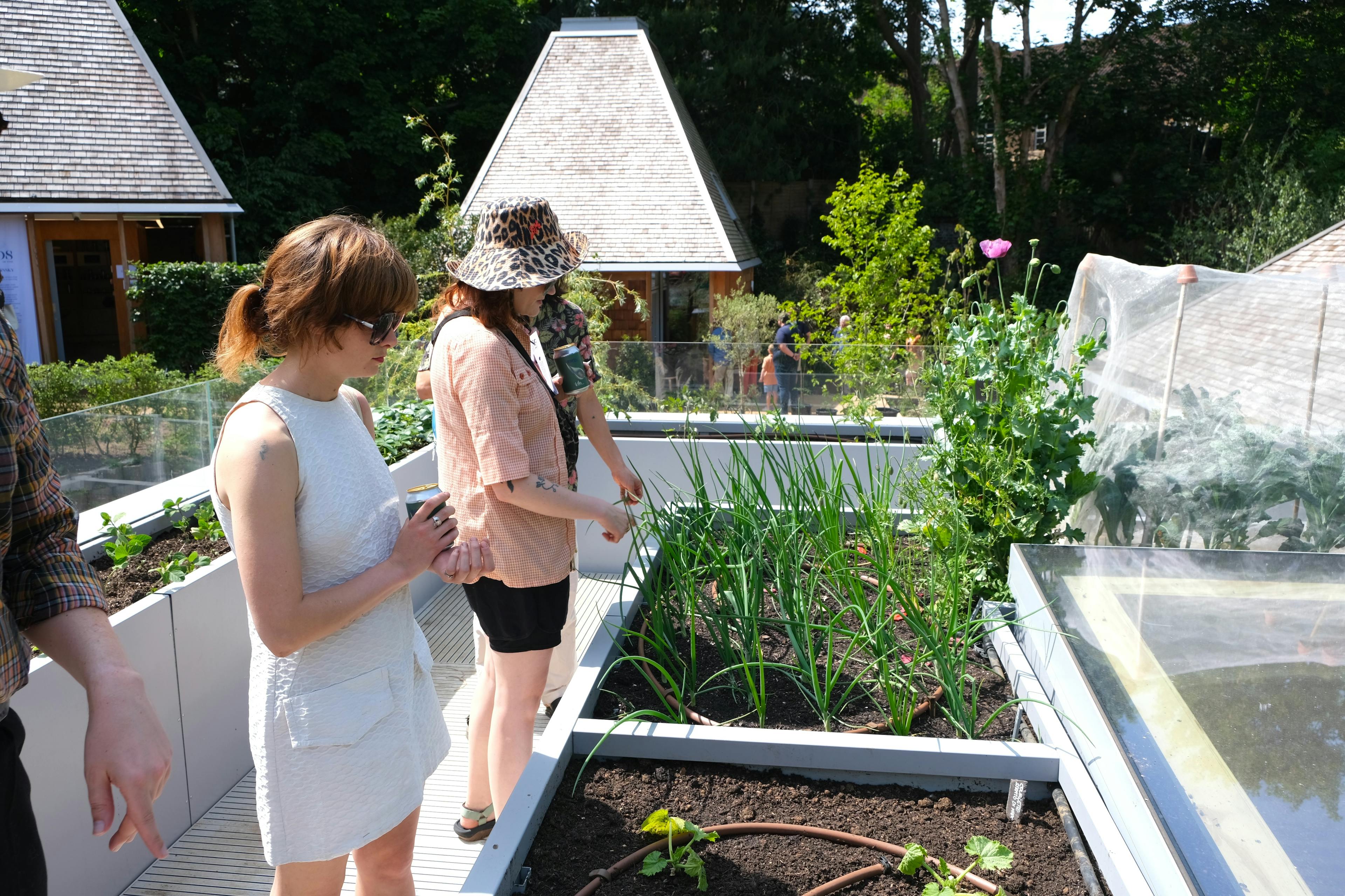 Exterior view of a contemporary timber venue with a planted roof garden, showcasing natural materials and integration with the surrounding landscape