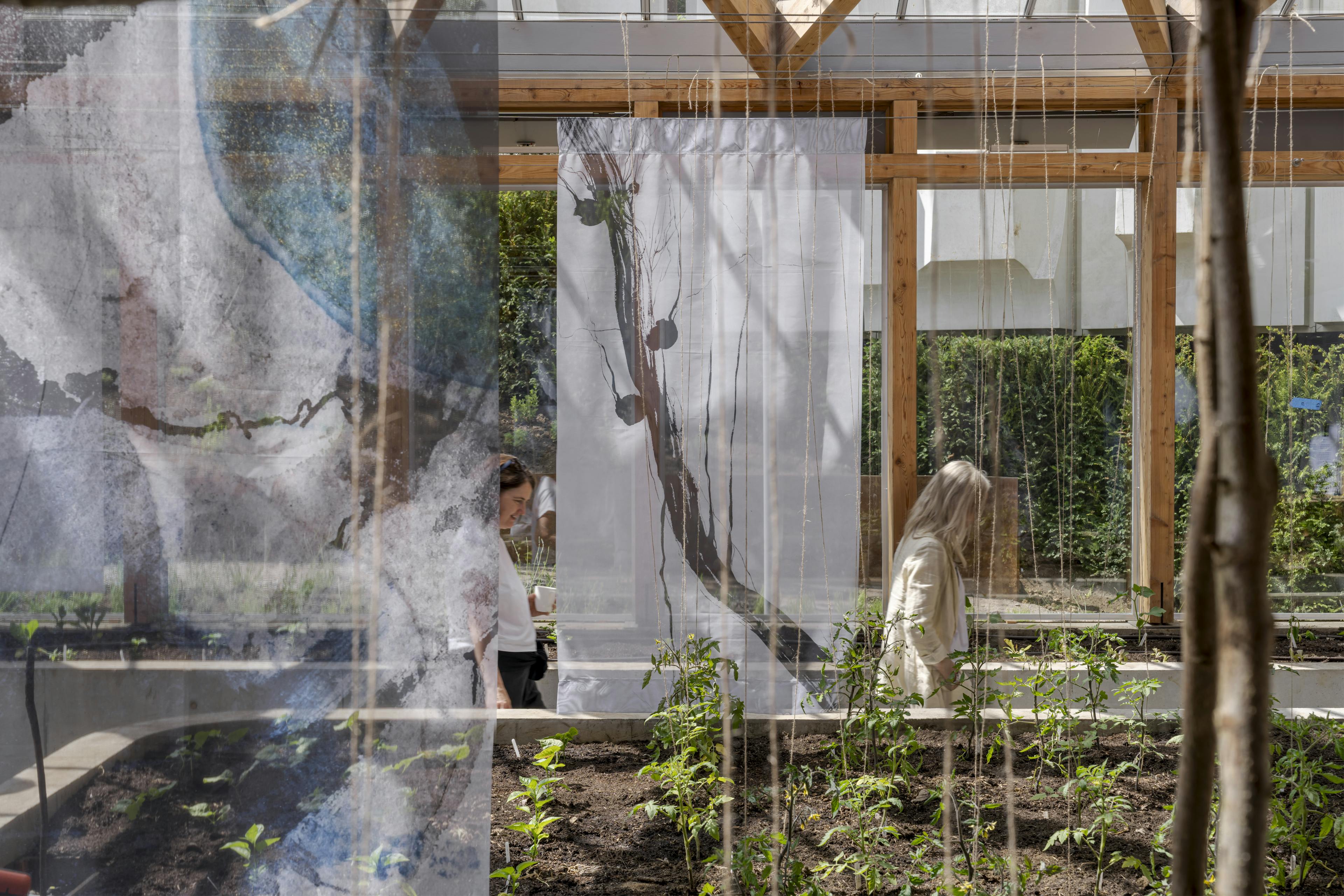 Interior of a greenhouse garden featuring exposed larch glulam timber framing and abundant natural light