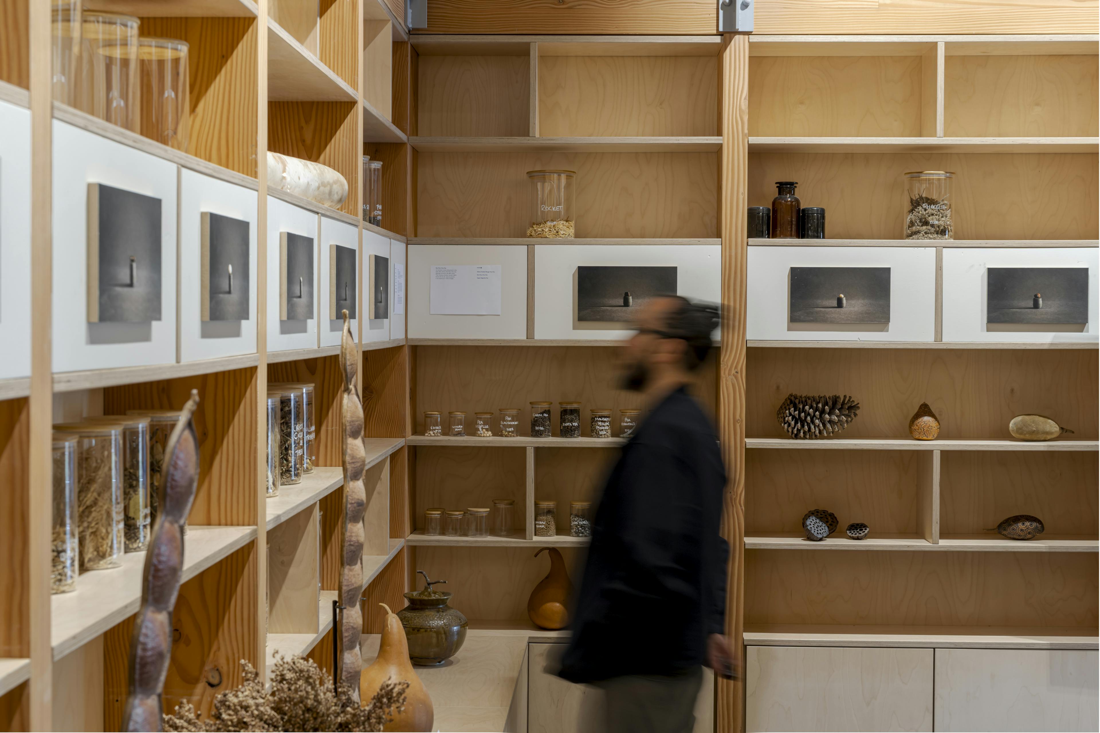 Interior of the Seed Vault public space featuring exposed Douglas fir timber framing and natural light