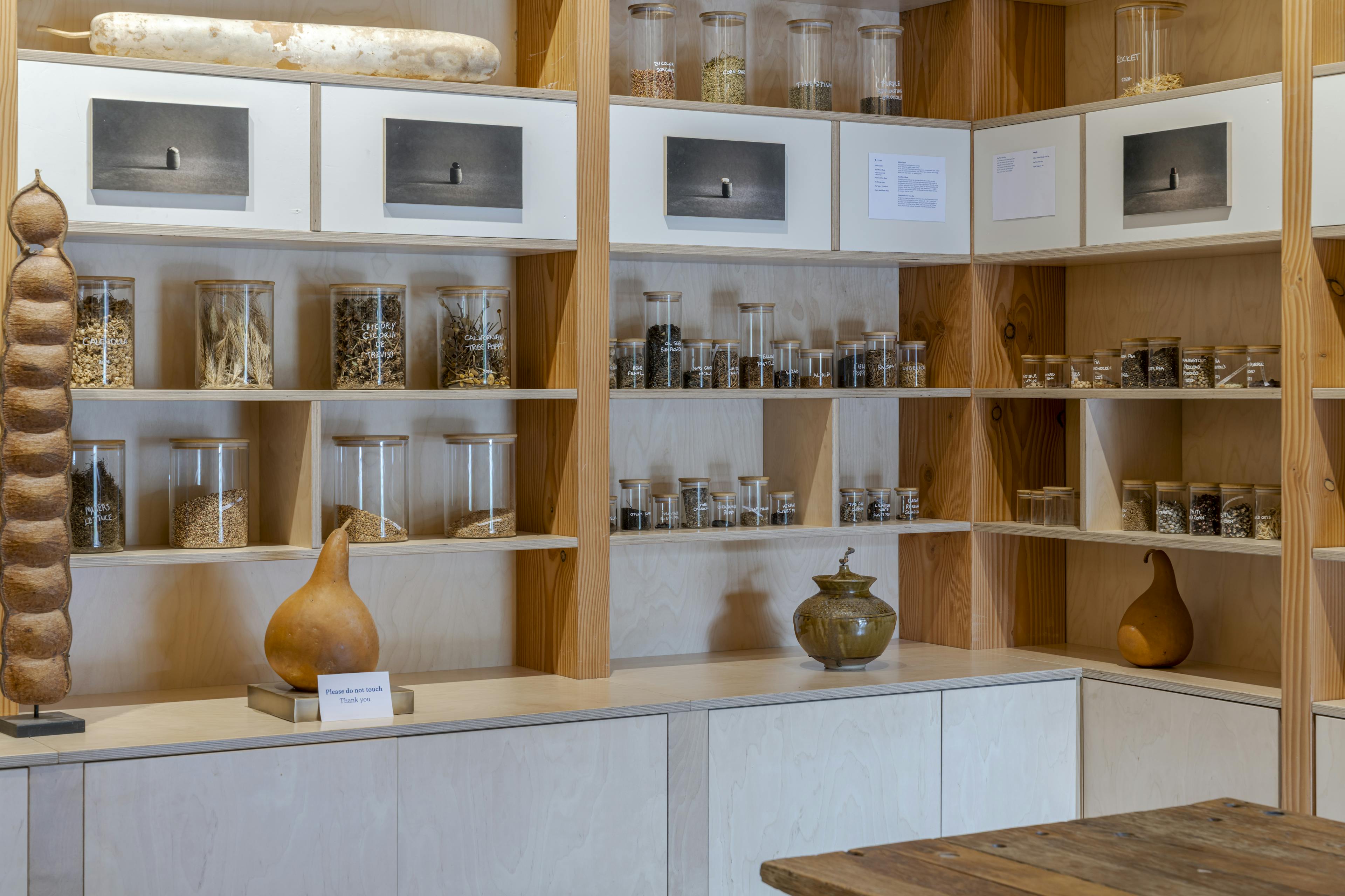Interior view of the Seed Vault space showcasing exposed Douglas fir timber framing and natural daylight