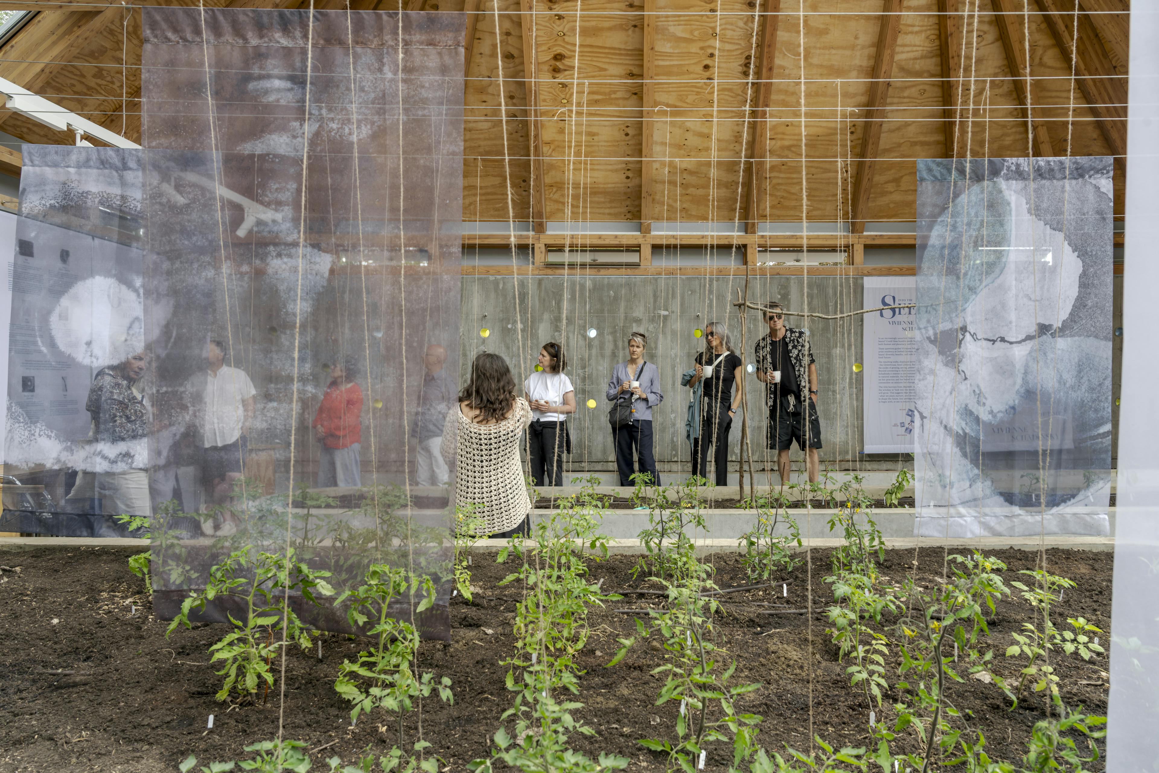 Interior view of Omved Gardens greenhouse, designed by Smerin Architects, featuring exposed larch glulam frame and natural light filtering through the glass, with greenery visible inside. Photo credit: Maurizio Mucciola.