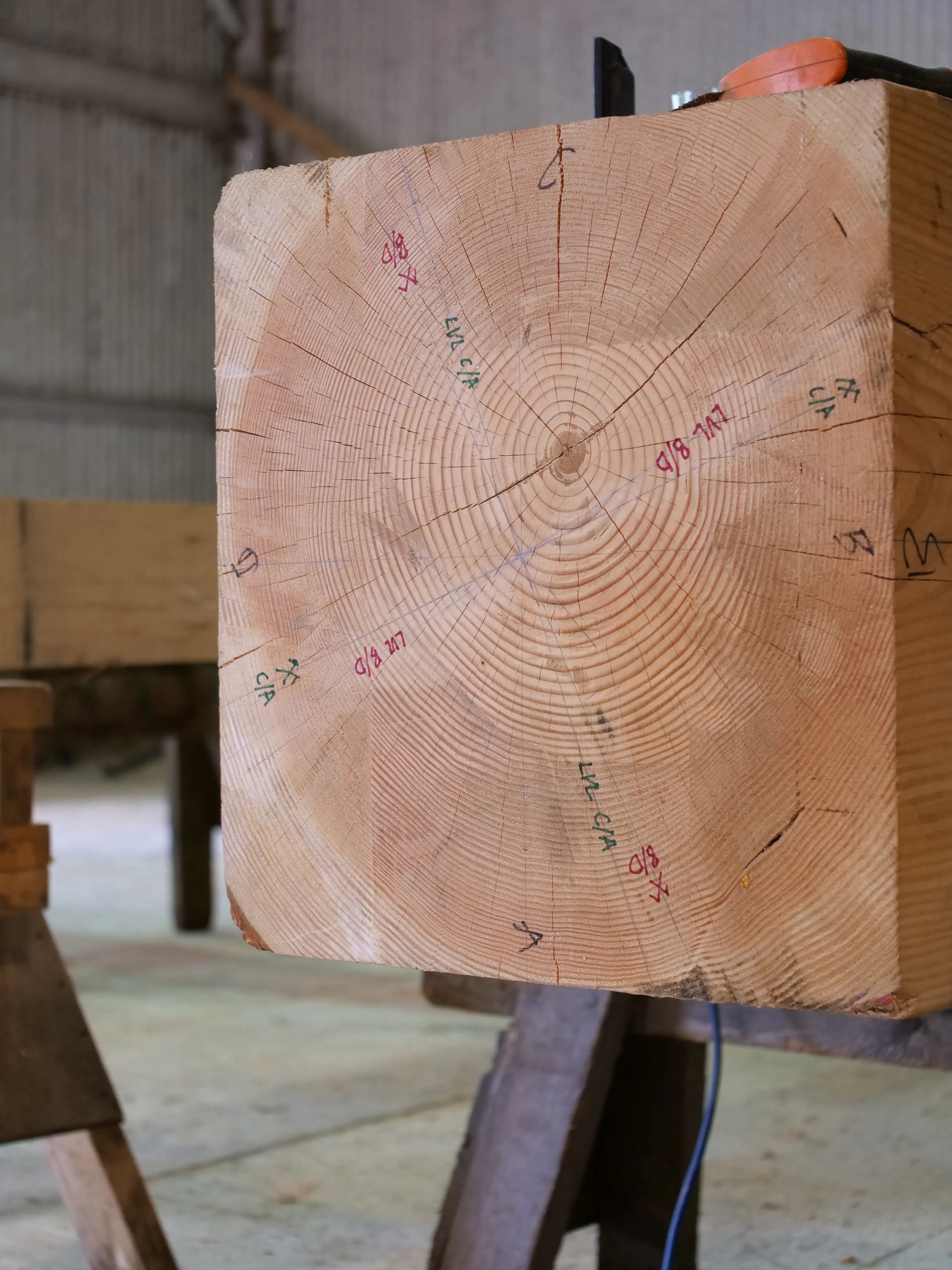 Large timber section and full post in the workshop for the Riverside Boathouse, prepared from Douglas fir and larch, with dendrochronology analysis visible