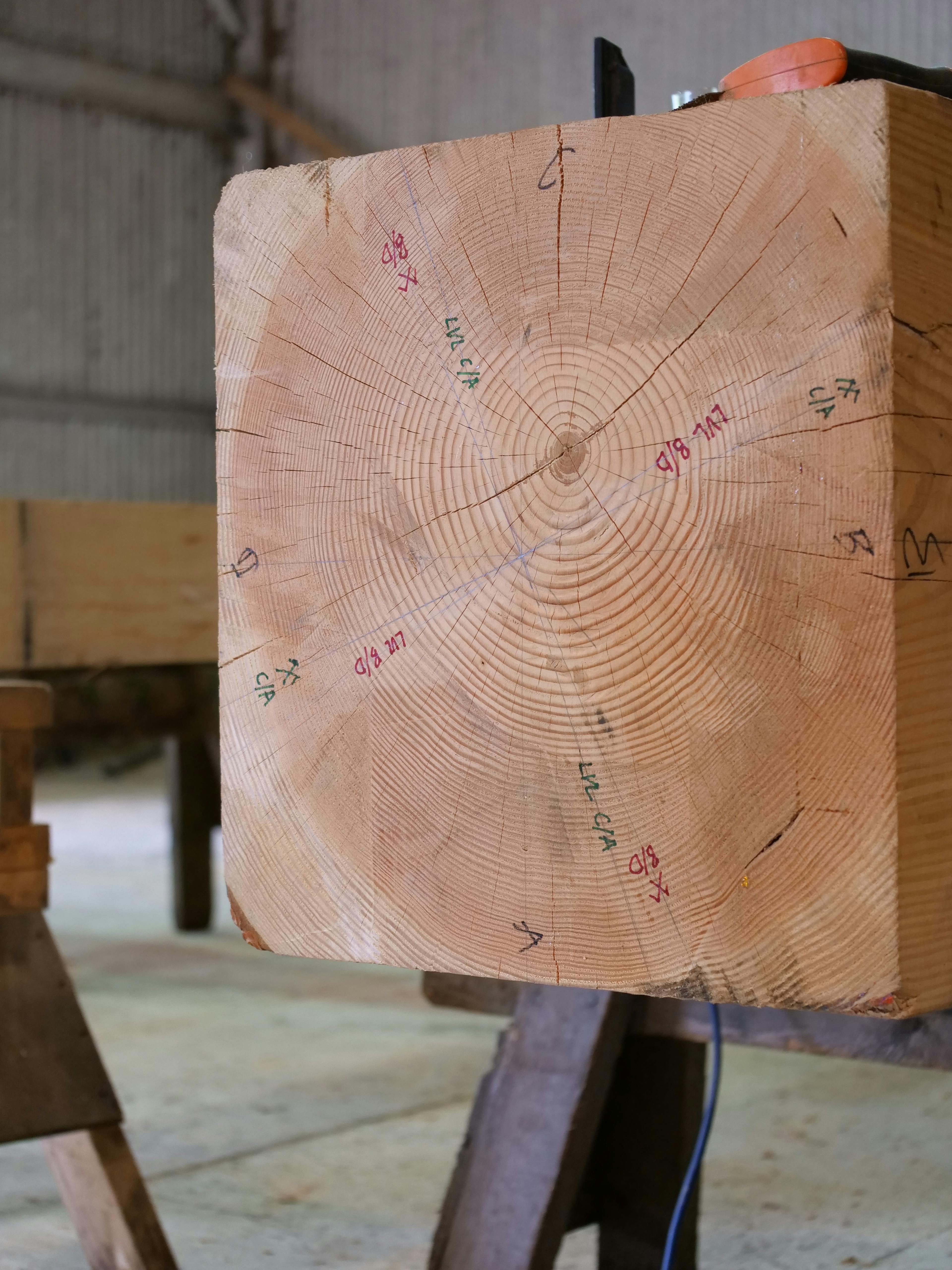 Large timber section and full post in the workshop for the Riverside Boathouse, prepared from Douglas fir and larch, with dendrochronology analysis visible