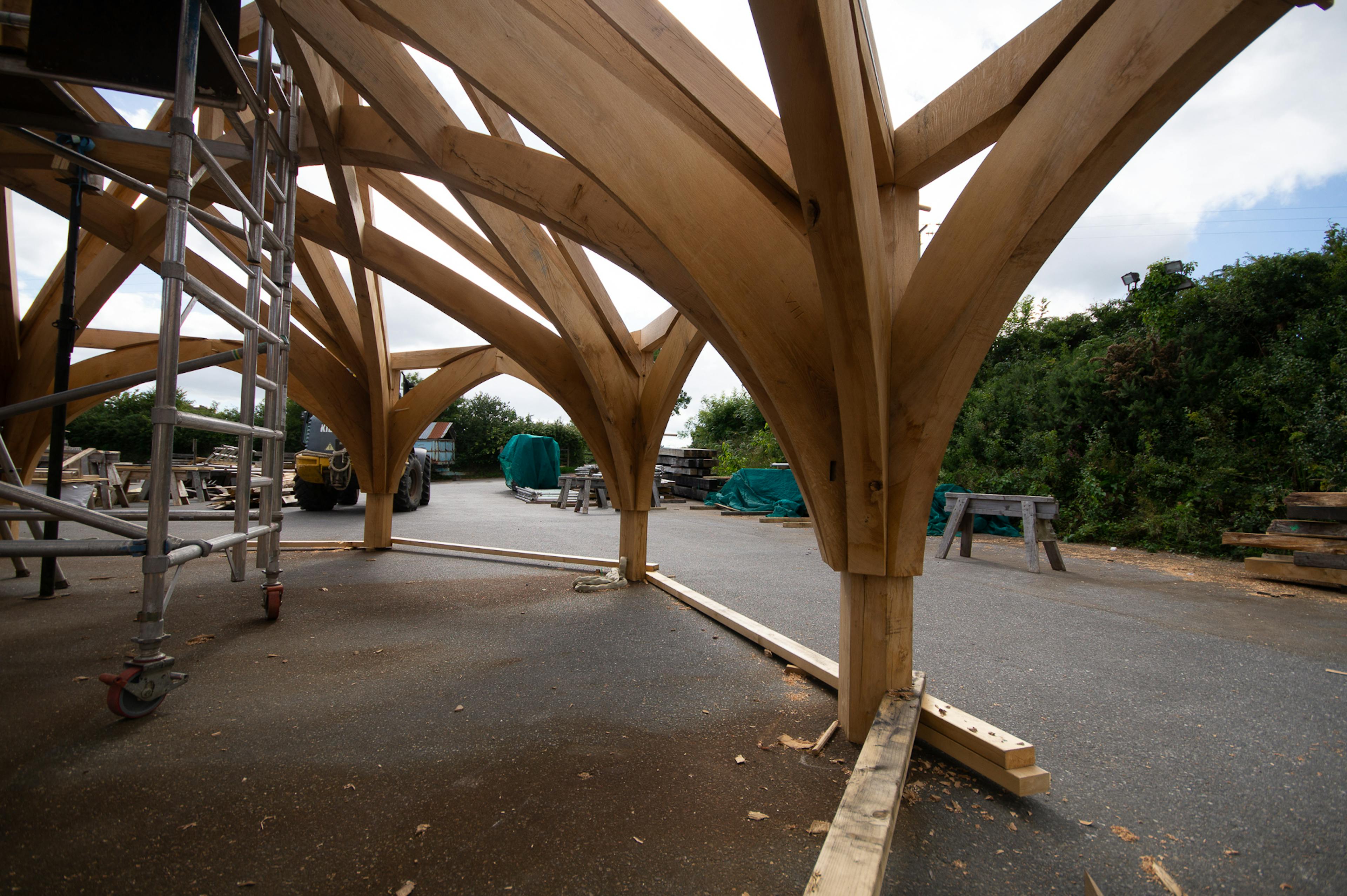Timber frame for Radley College under construction in the Carpenter Oak workshop, with curved braces fitted to the structure designed by Purcell Architects