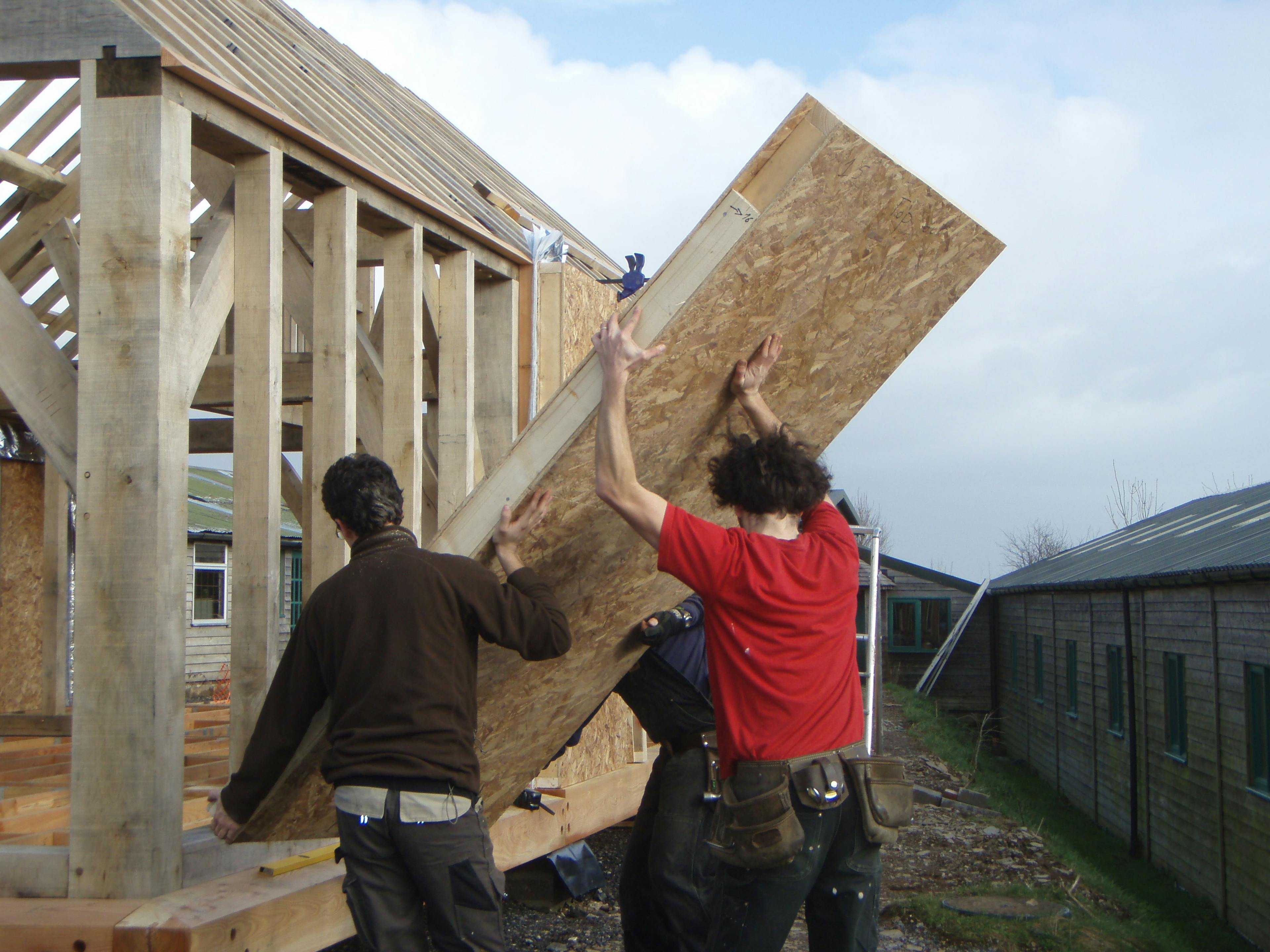 Carpenter Oak team installing structural insulated panels (SIP) at the show barn in East Cornworthy, highlighting teamwork and timber frame construction