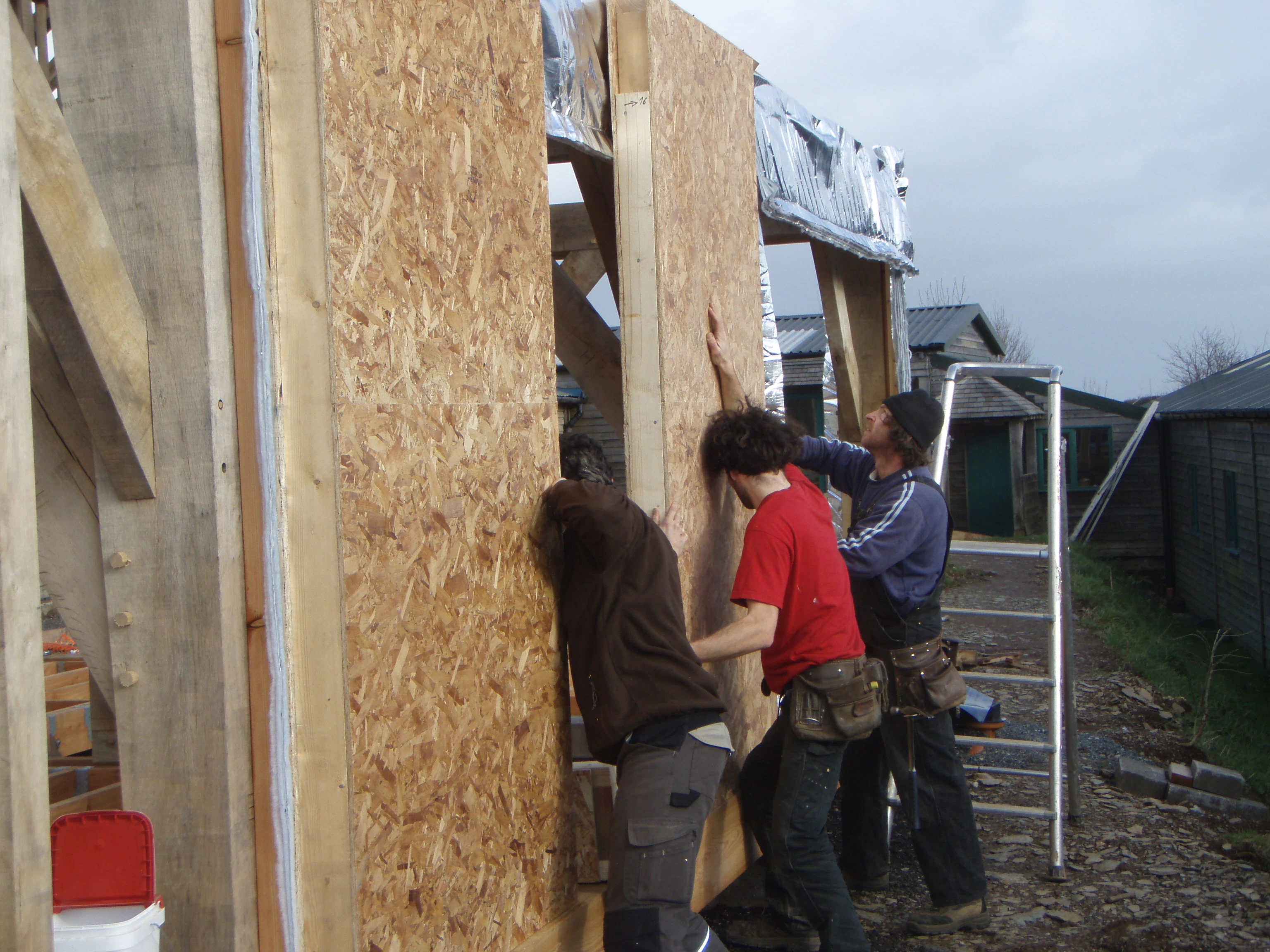 Carpenter Oak team assembling structural insulated panels (SIP) at the show barn in East Cornworthy, highlighting collaborative construction and timber frame integration