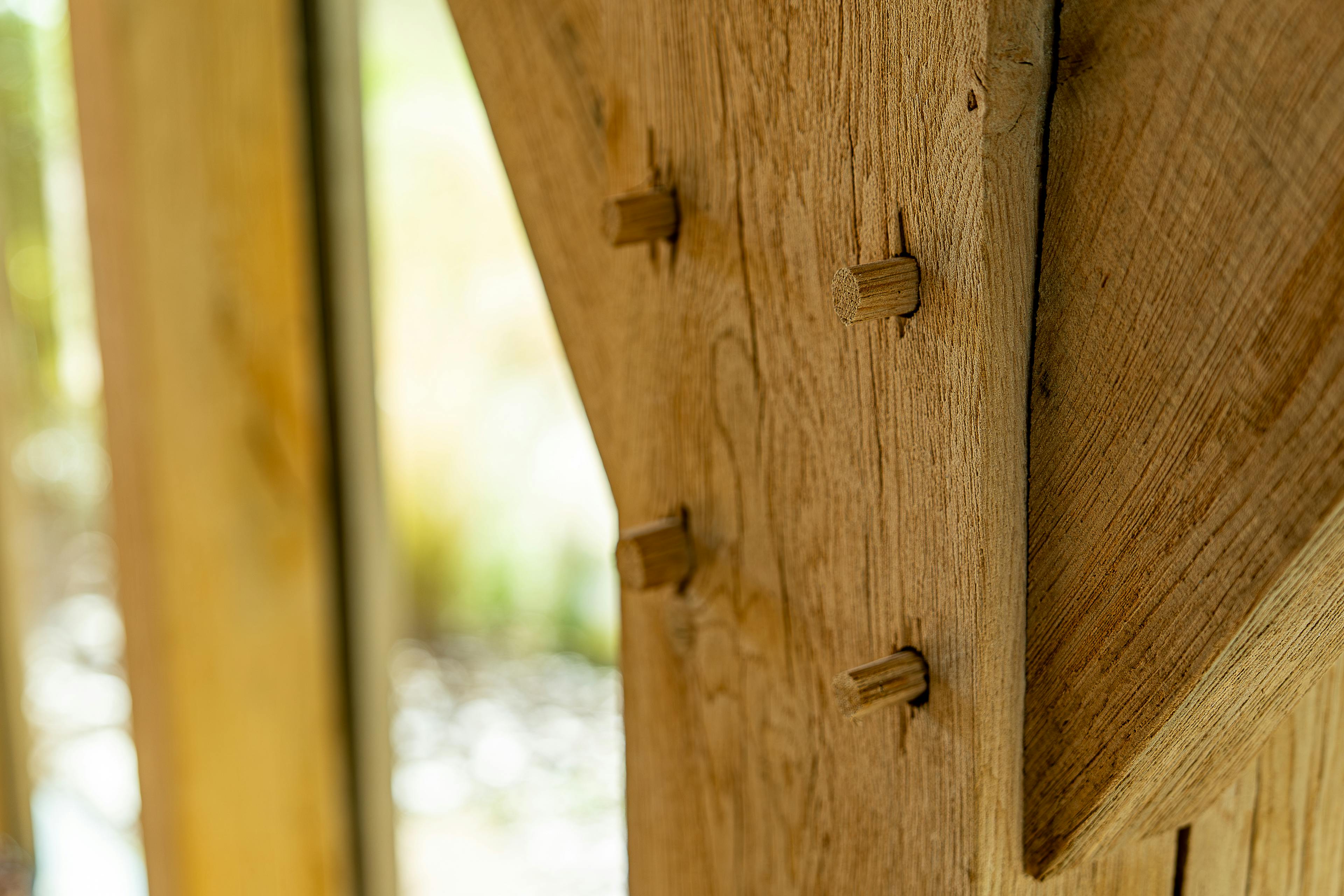 Detail of a pegged mortie and tenon joint of an oak framed pool building annexe