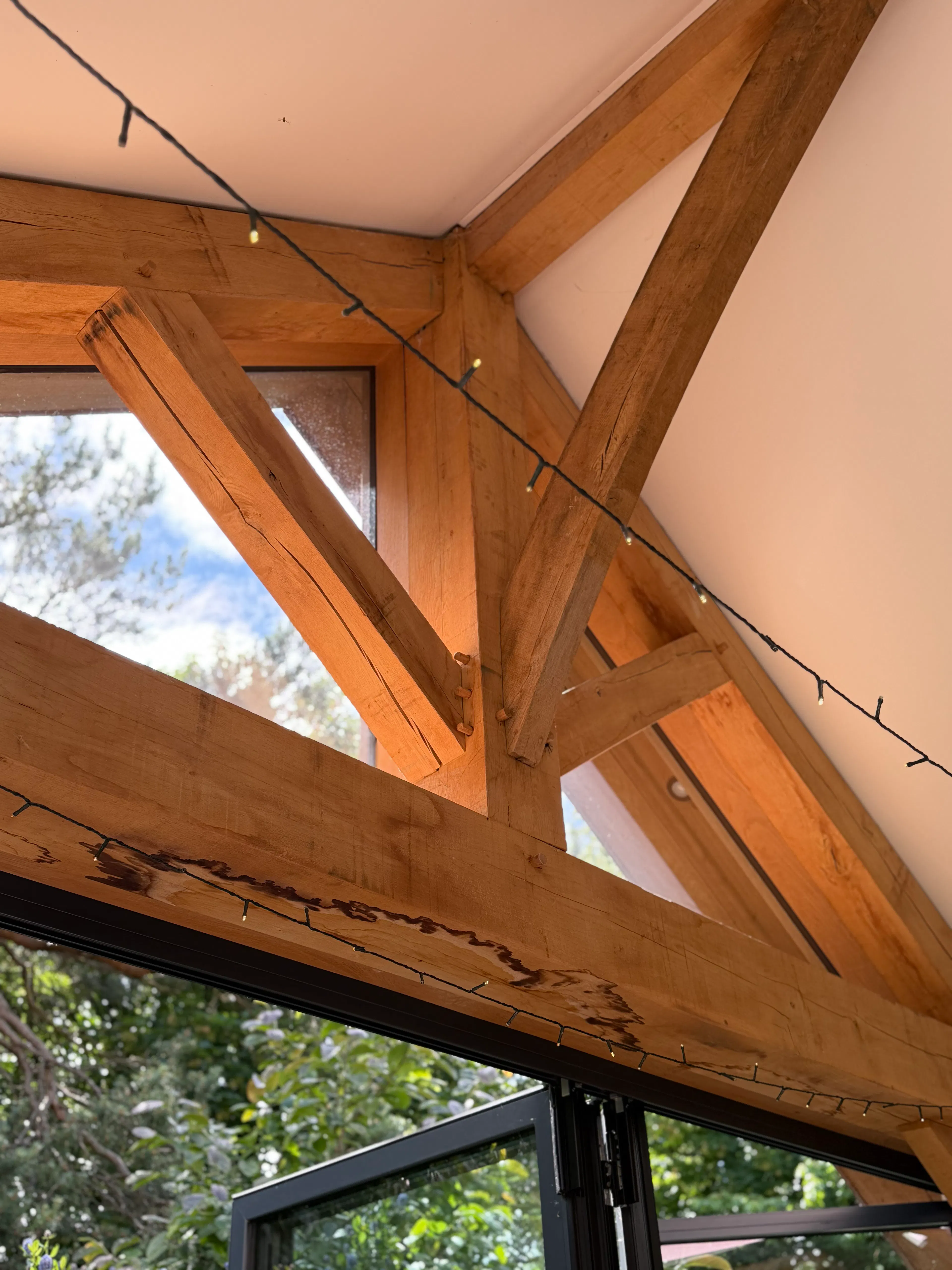 Open-plan garden room interior with exposed oak frame construction and a king post truss, featuring a close-up detail of glazing within the bright living space