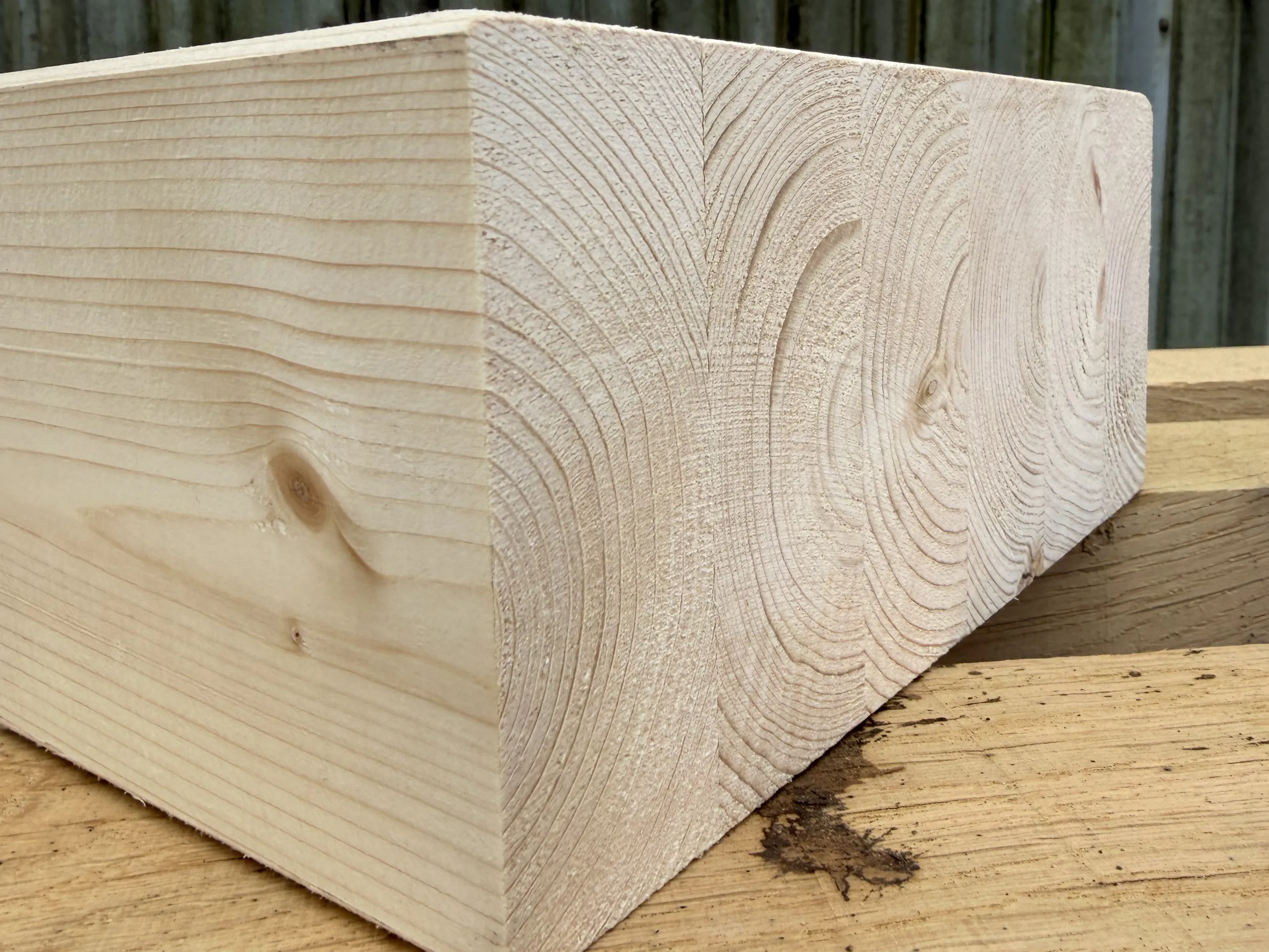 A close up image of a glulam spruce sample block of timber
