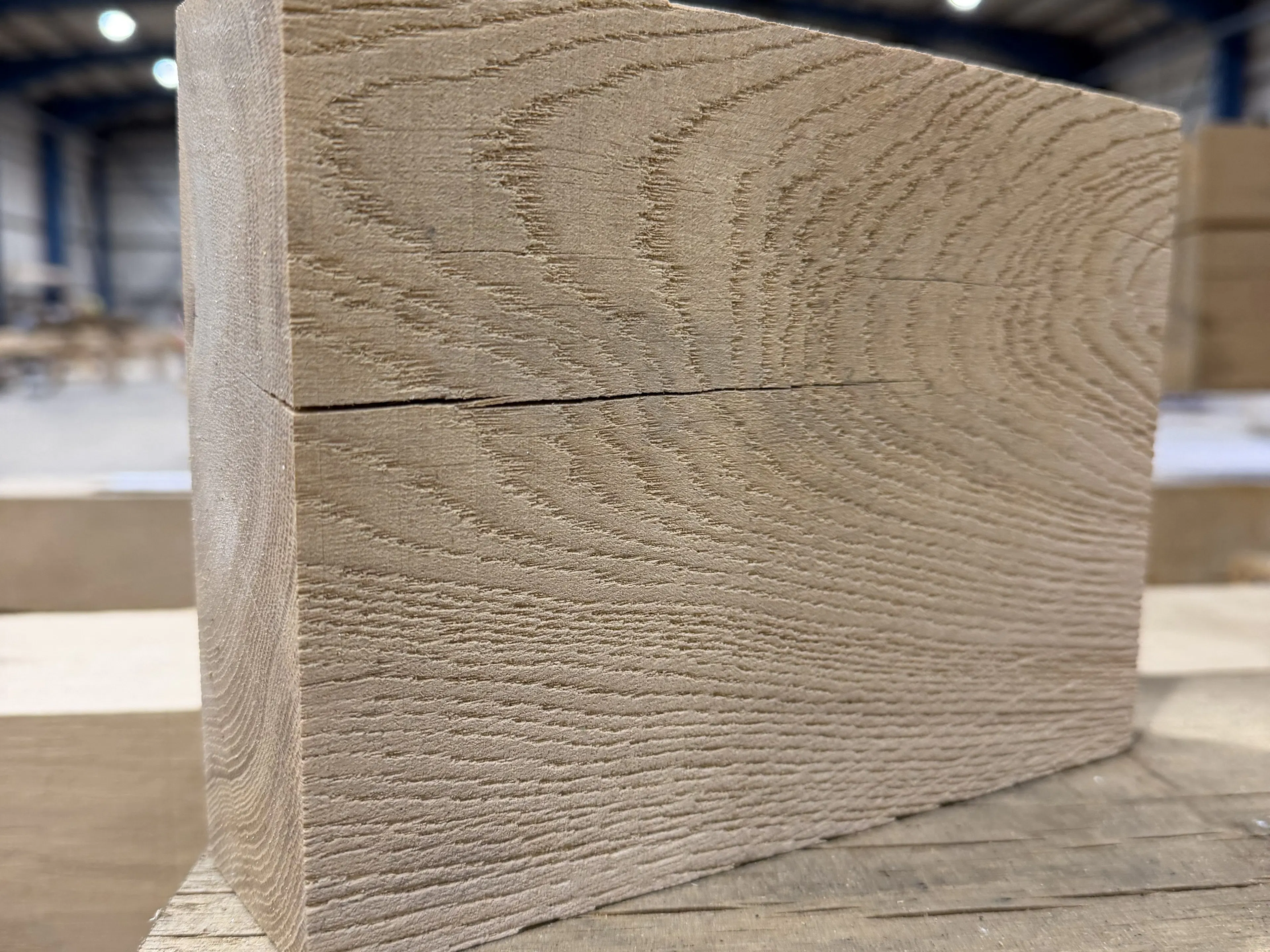 A close up image of a green oak sample block of timber which has been sandblasted clean