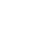 level