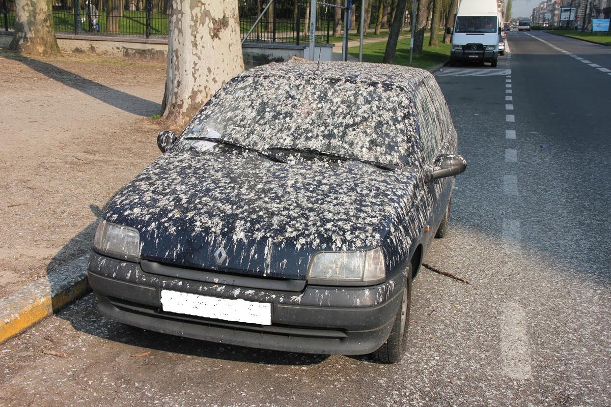 6 automobiliai, kurie atrodo gerai, bet išties yra šūdo gabalai