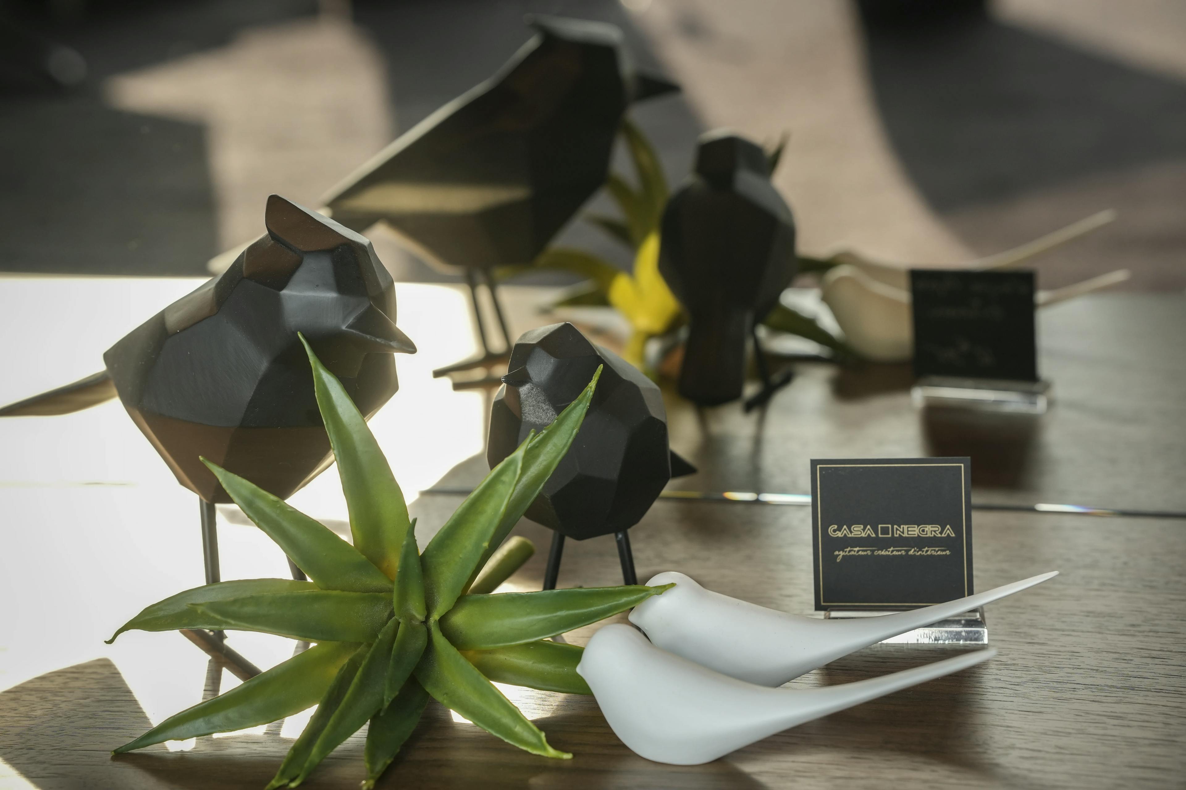 Oiseaux décoratfis - Casa negra